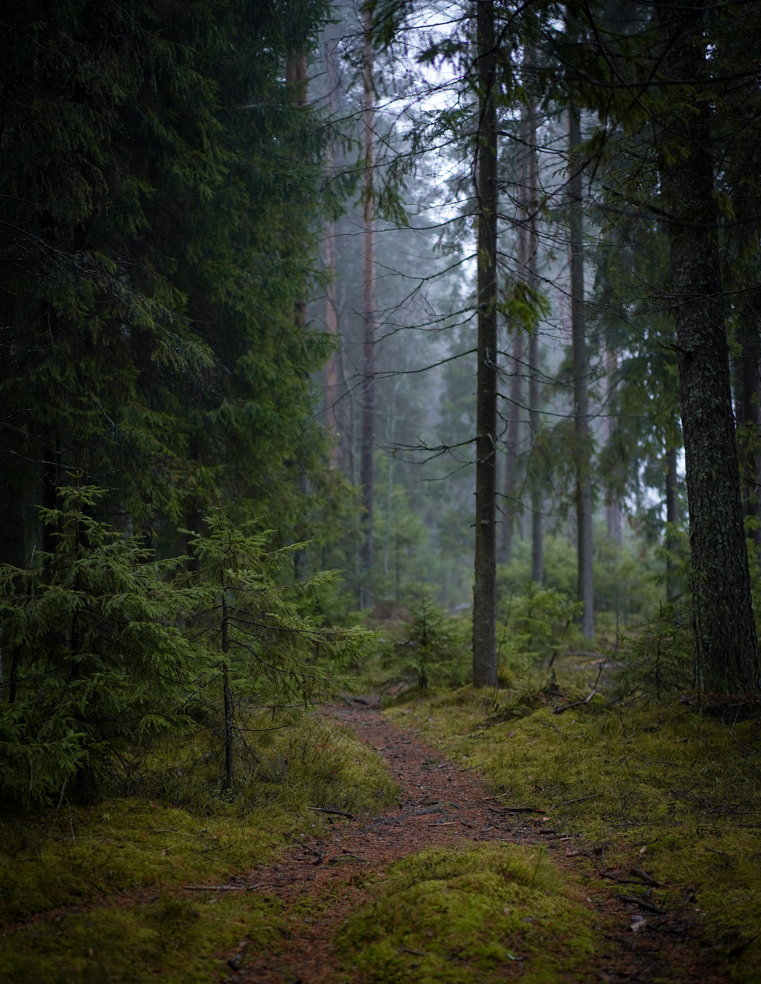 Хеллоуин 22. Фотограф-анималист в Санкт-Петербурге Яна Мартынова