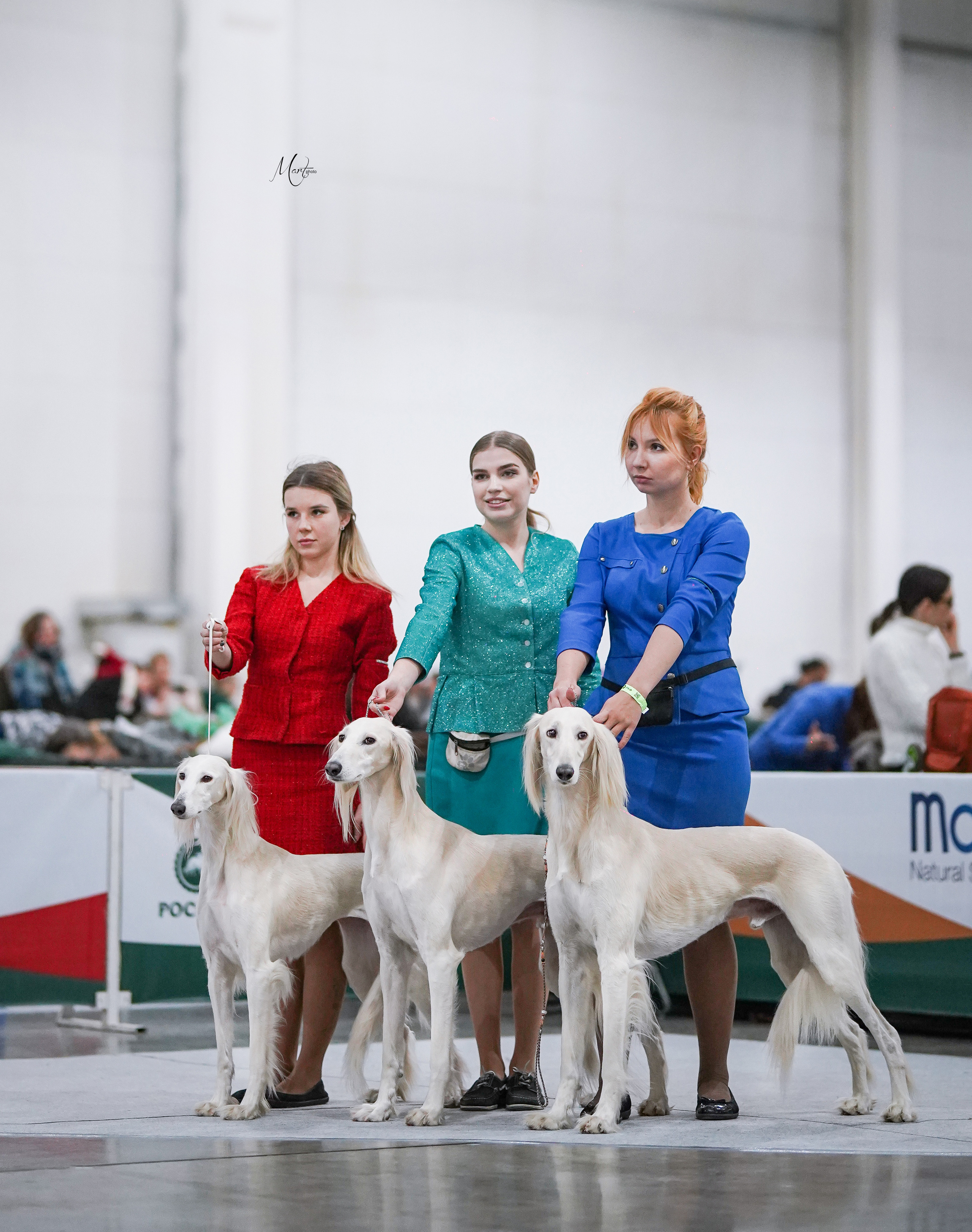 Выставки 2022. Фотограф-анималист в Санкт-Петербурге Яна Мартынова