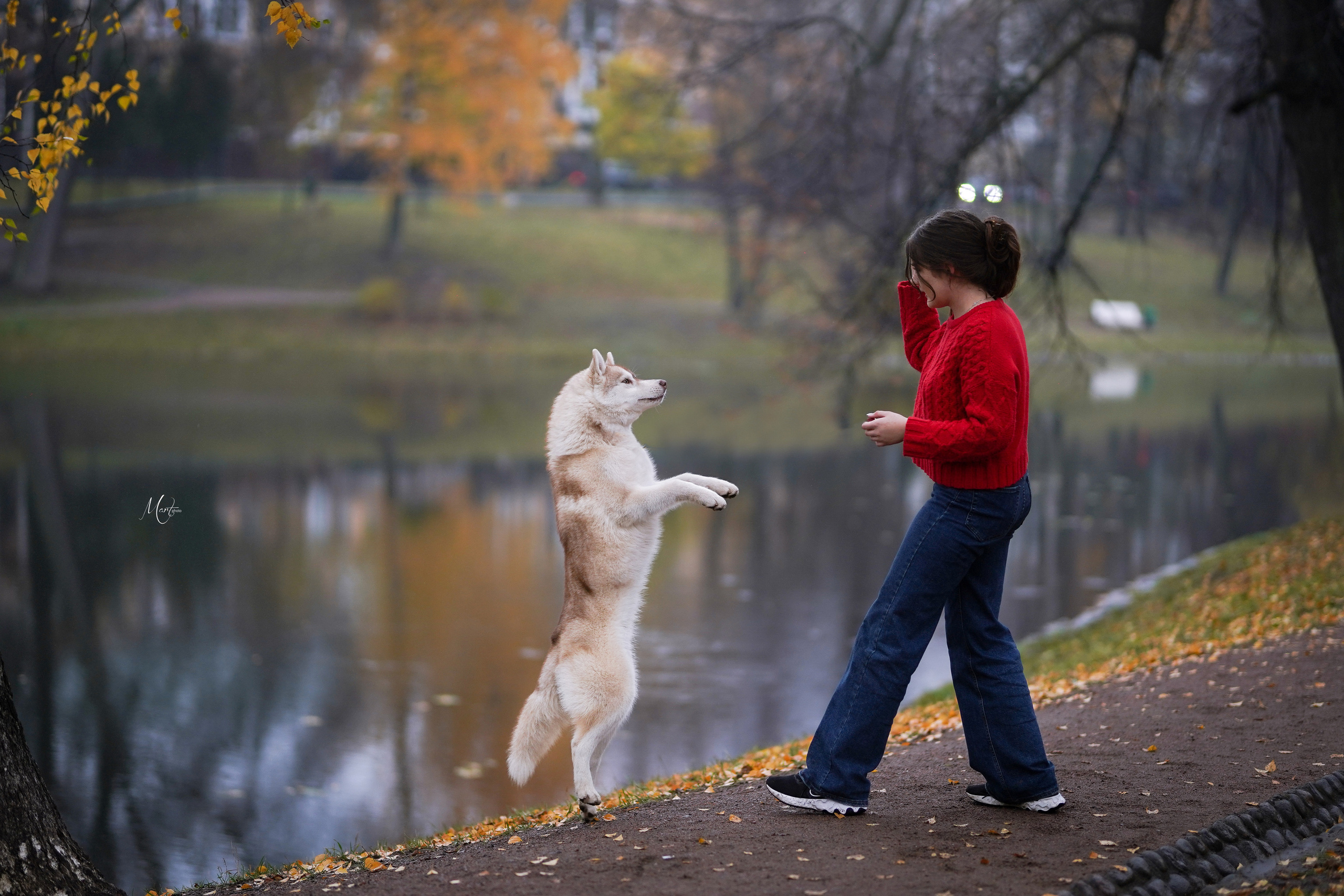 Саша и хаси. Фотограф-анималист в Санкт-Петербурге Яна Мартынова