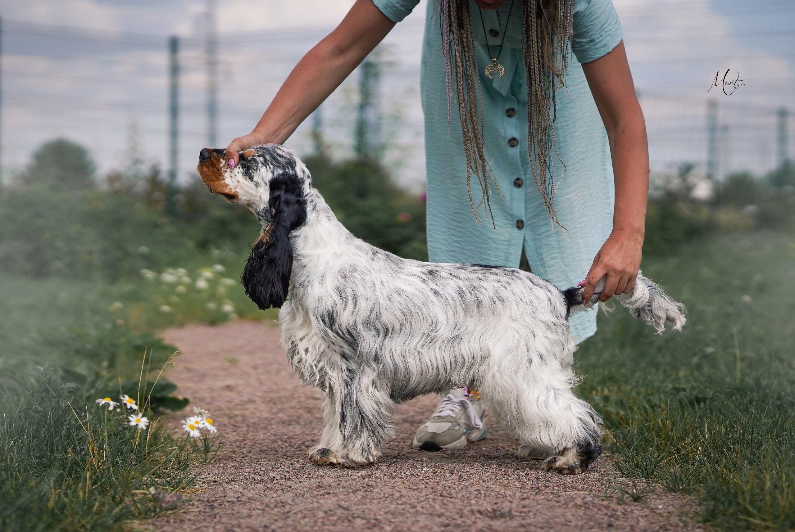 Экстерьерная съемка 2022. Фотограф-анималист в Санкт-Петербурге Яна Мартынова