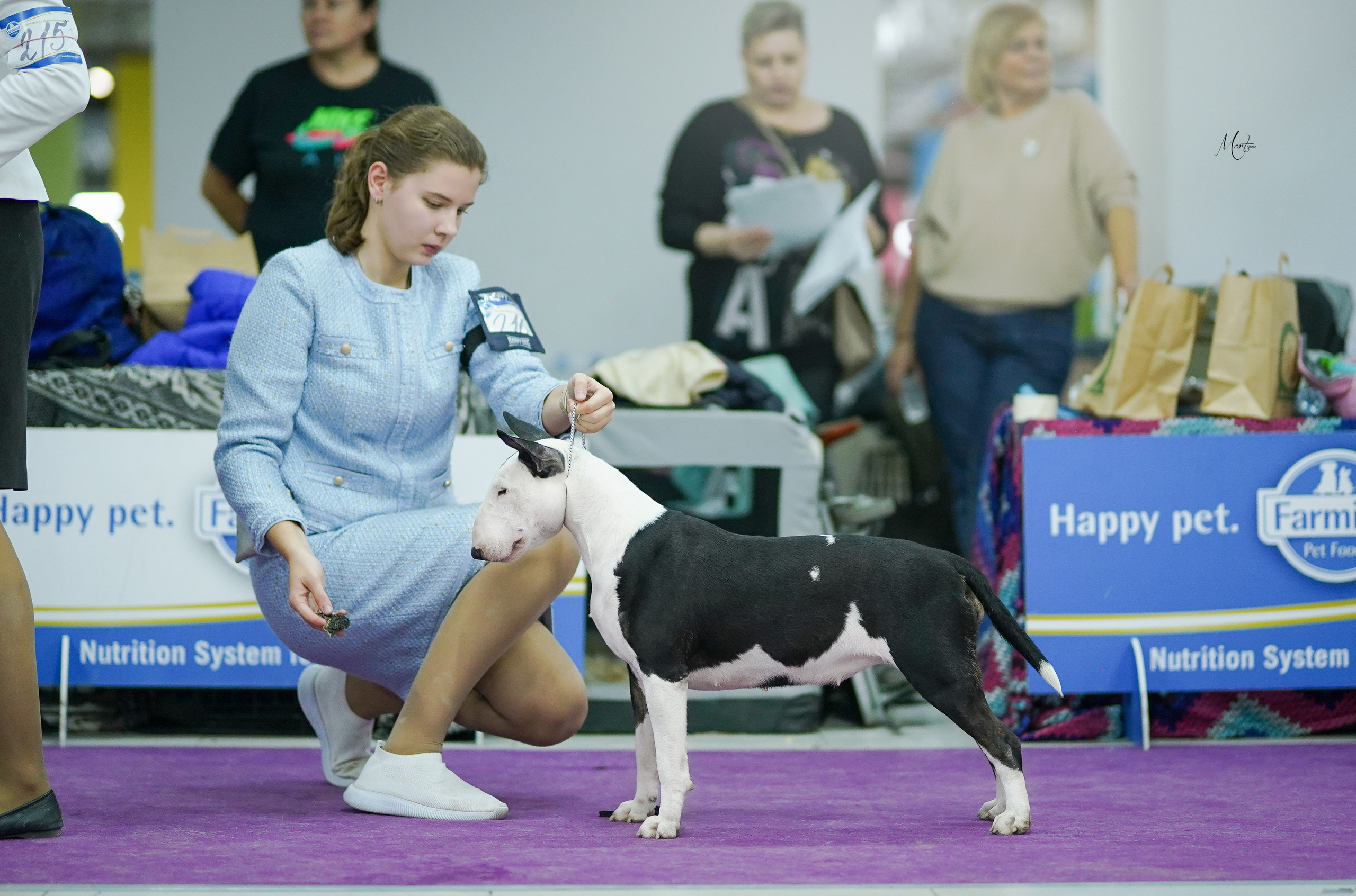 Выставки 2022. Фотограф-анималист в Санкт-Петербурге Яна Мартынова