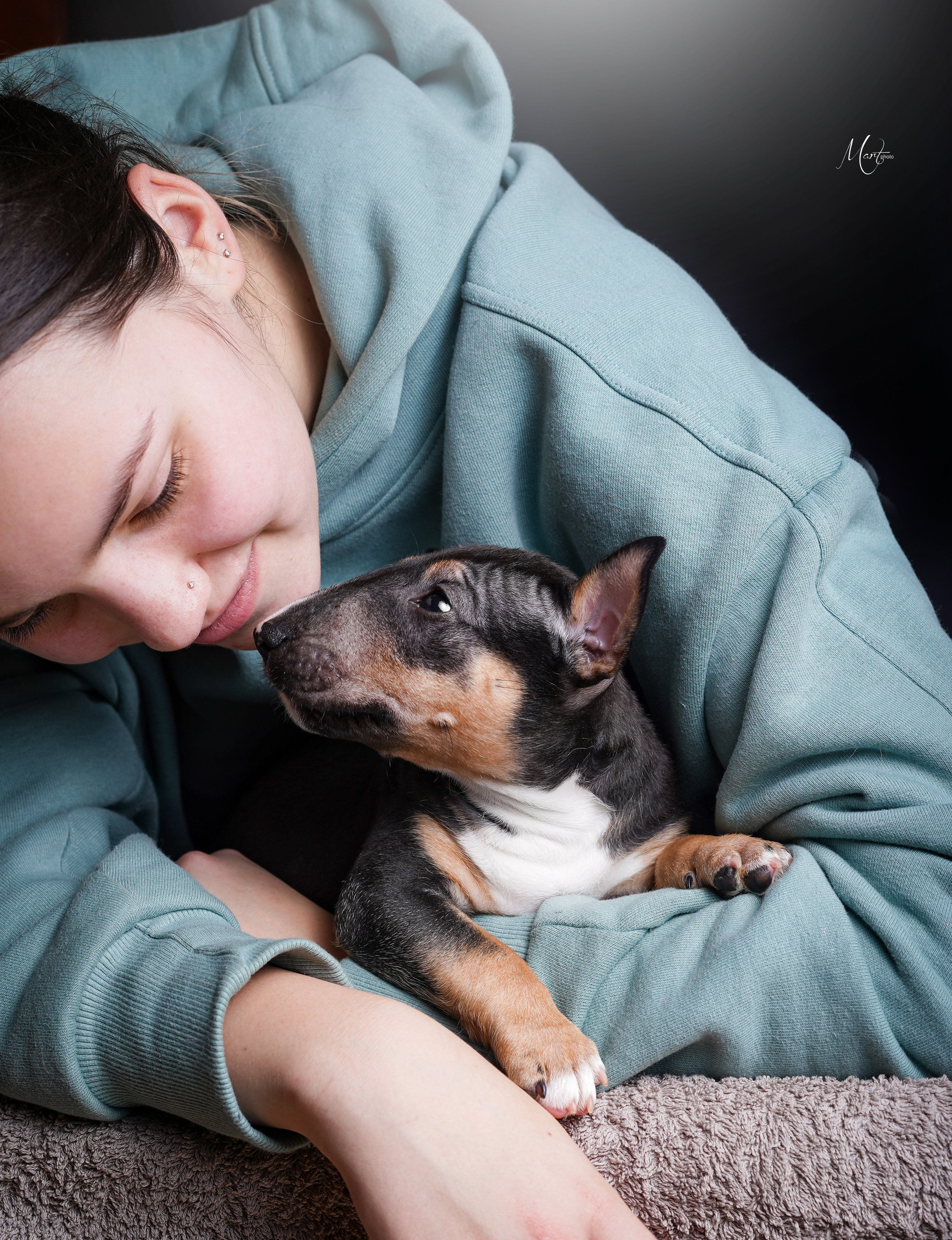 Щенки минибуля. Фотограф-анималист в Санкт-Петербурге Яна Мартынова