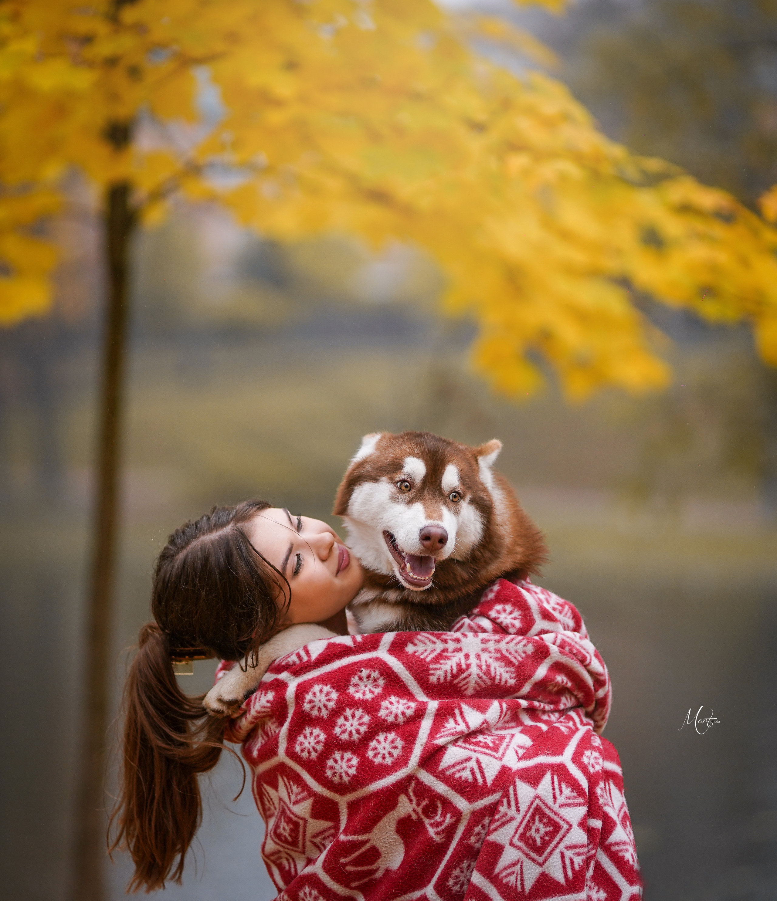 Саша и хаси. Фотограф-анималист в Санкт-Петербурге Яна Мартынова