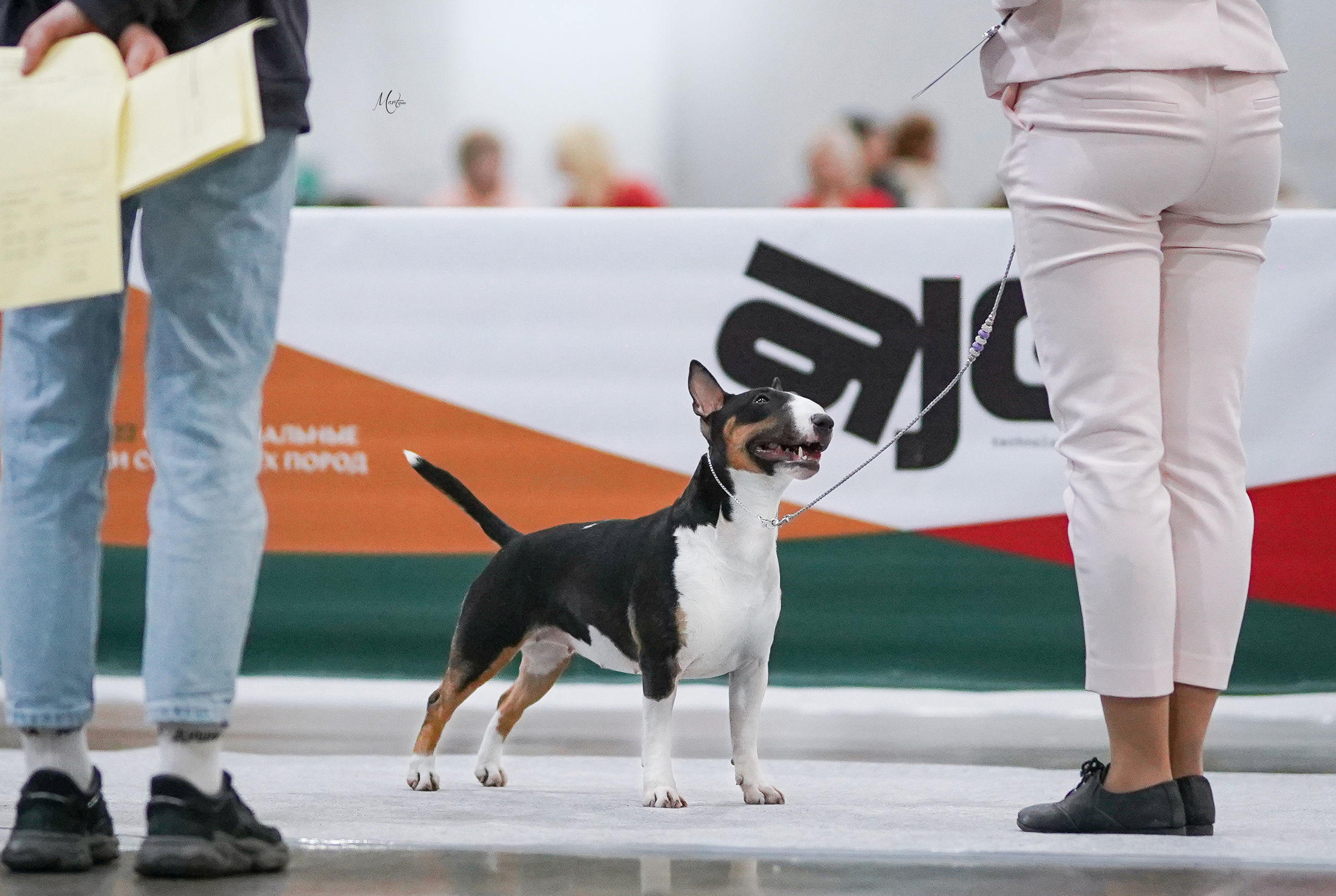 Выставки 2022. Фотограф-анималист в Санкт-Петербурге Яна Мартынова