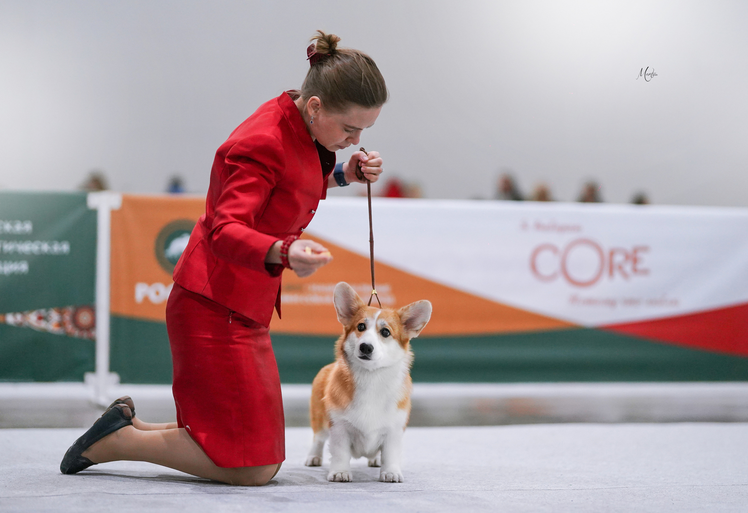 Выставки 2022. Фотограф-анималист в Санкт-Петербурге Яна Мартынова