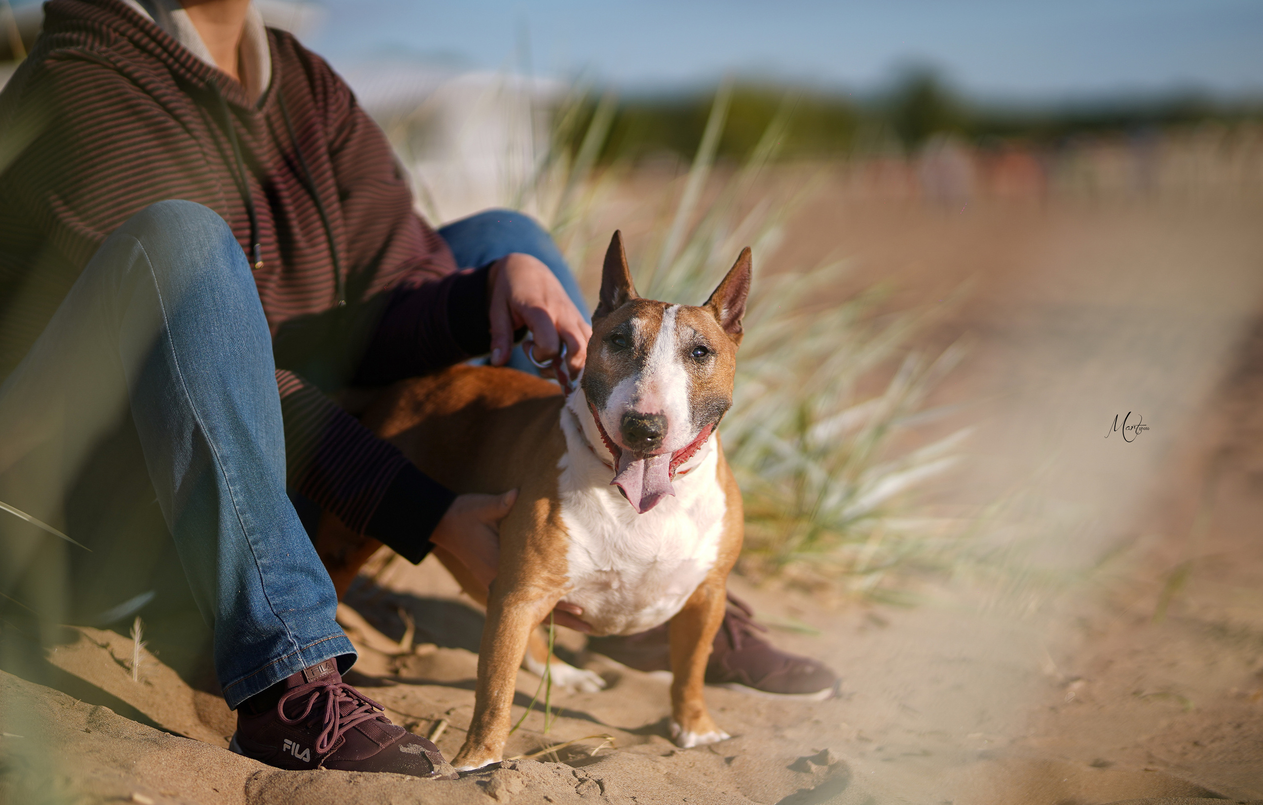 Моня, Оксана и Таисия. Фотограф-анималист в Санкт-Петербурге Яна Мартынова