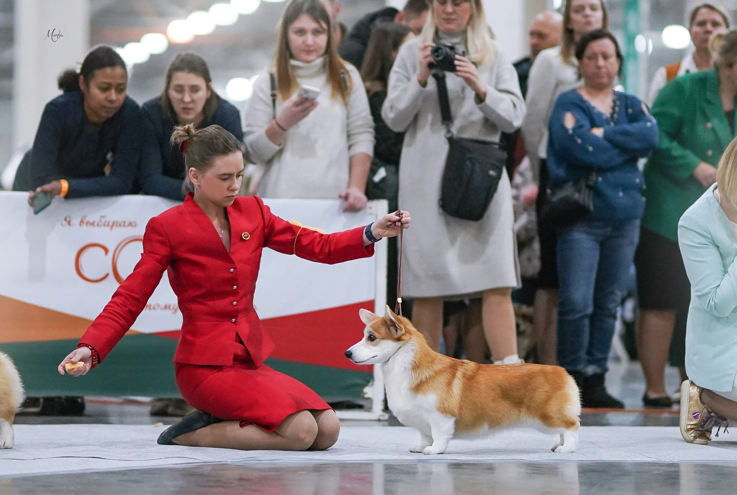 Выставки 2022. Фотограф-анималист в Санкт-Петербурге Яна Мартынова