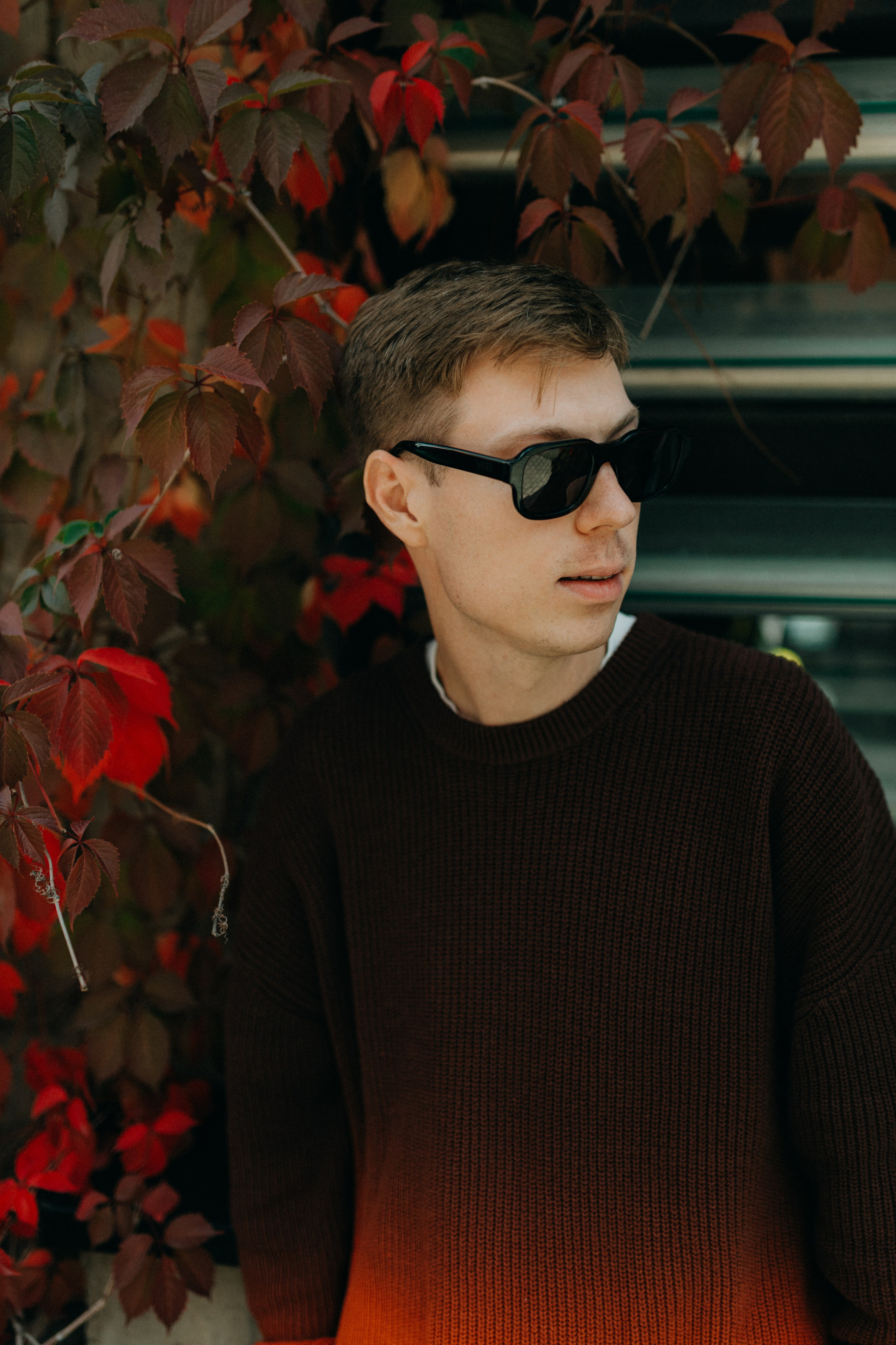 Dabro. Фотограф НОГИНСК, Москва, Анастасия Белая