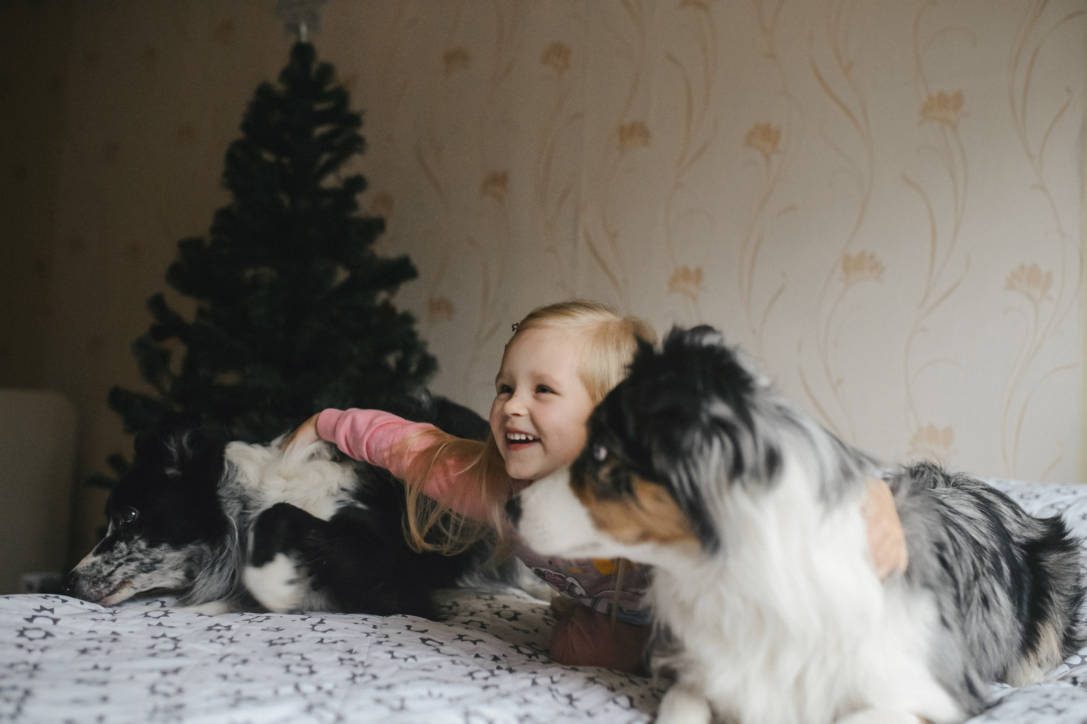 Теплый вечер в ожидании Нового года. Фотограф в Самаре Елена Уливанова