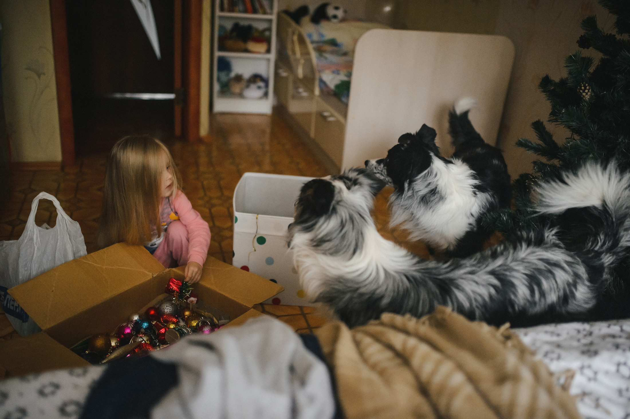 Теплый вечер в ожидании Нового года. Фотограф в Самаре Елена Уливанова