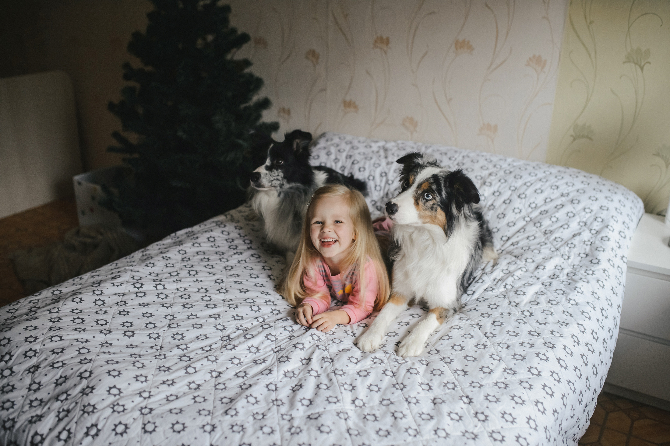 Теплый вечер в ожидании Нового года. Фотограф в Самаре Елена Уливанова