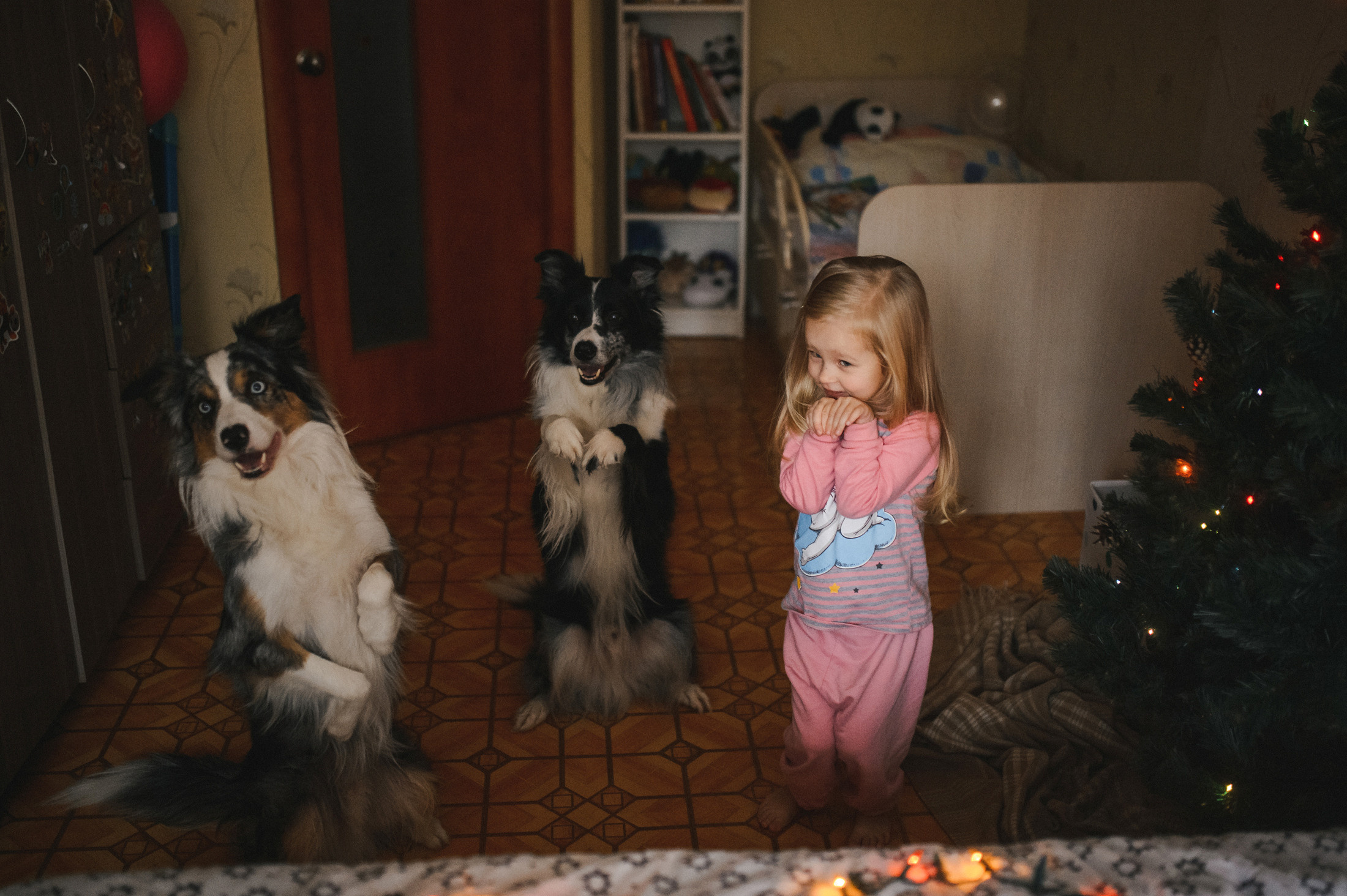 Теплый вечер в ожидании Нового года. Фотограф в Самаре Елена Уливанова