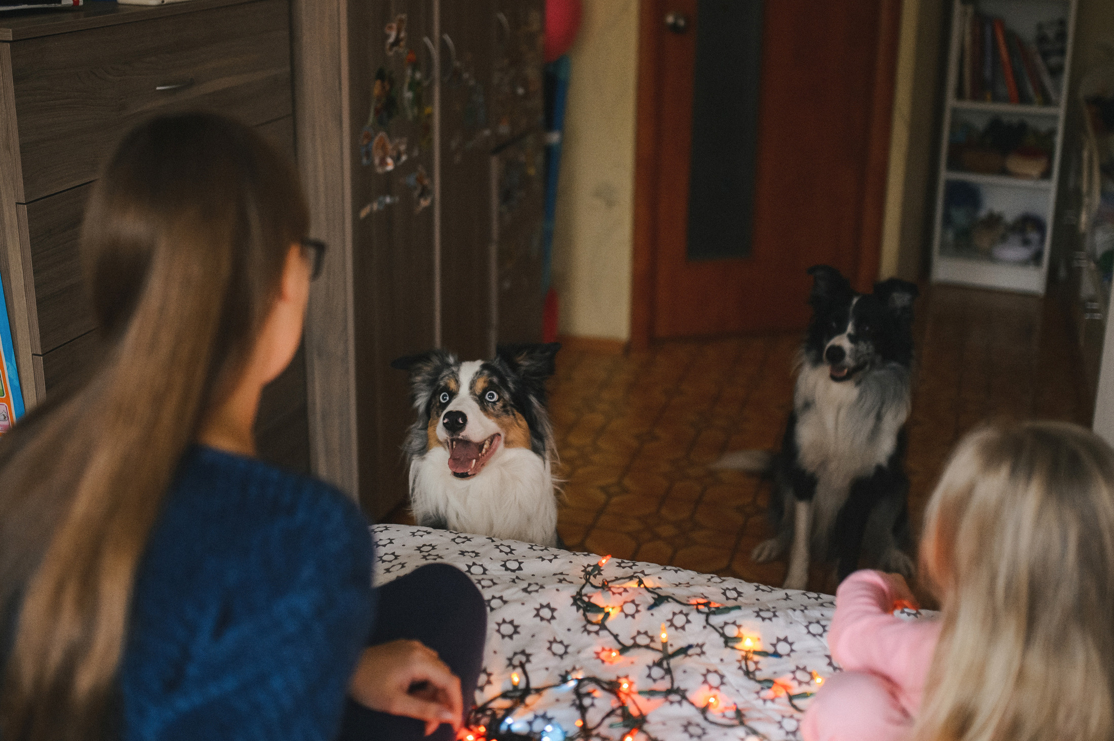 Теплый вечер в ожидании Нового года. Фотограф в Самаре Елена Уливанова