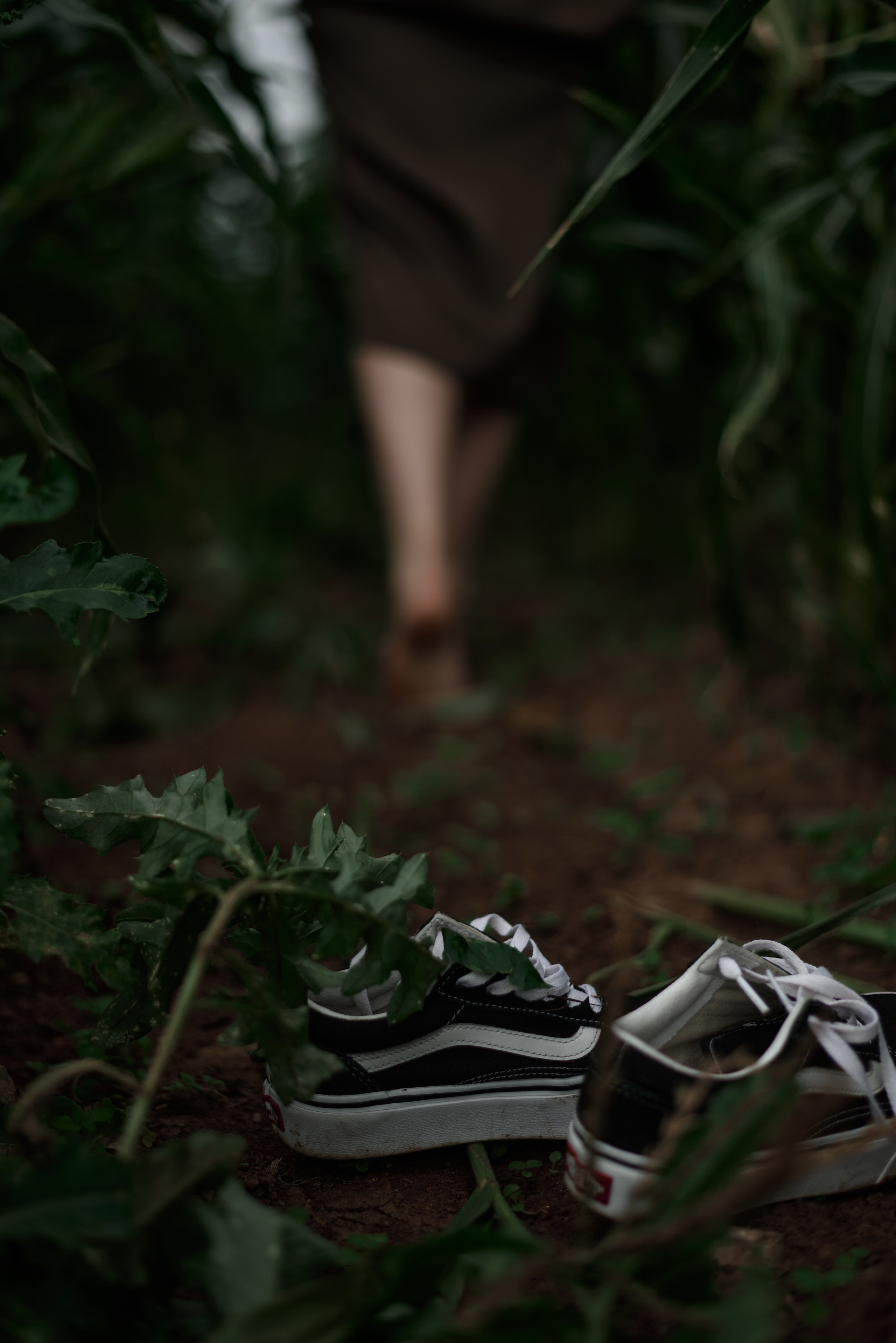Рита — Corn Field. Photographer Bangkok — Pattaya | фотограф Бангкок — Паттайа
