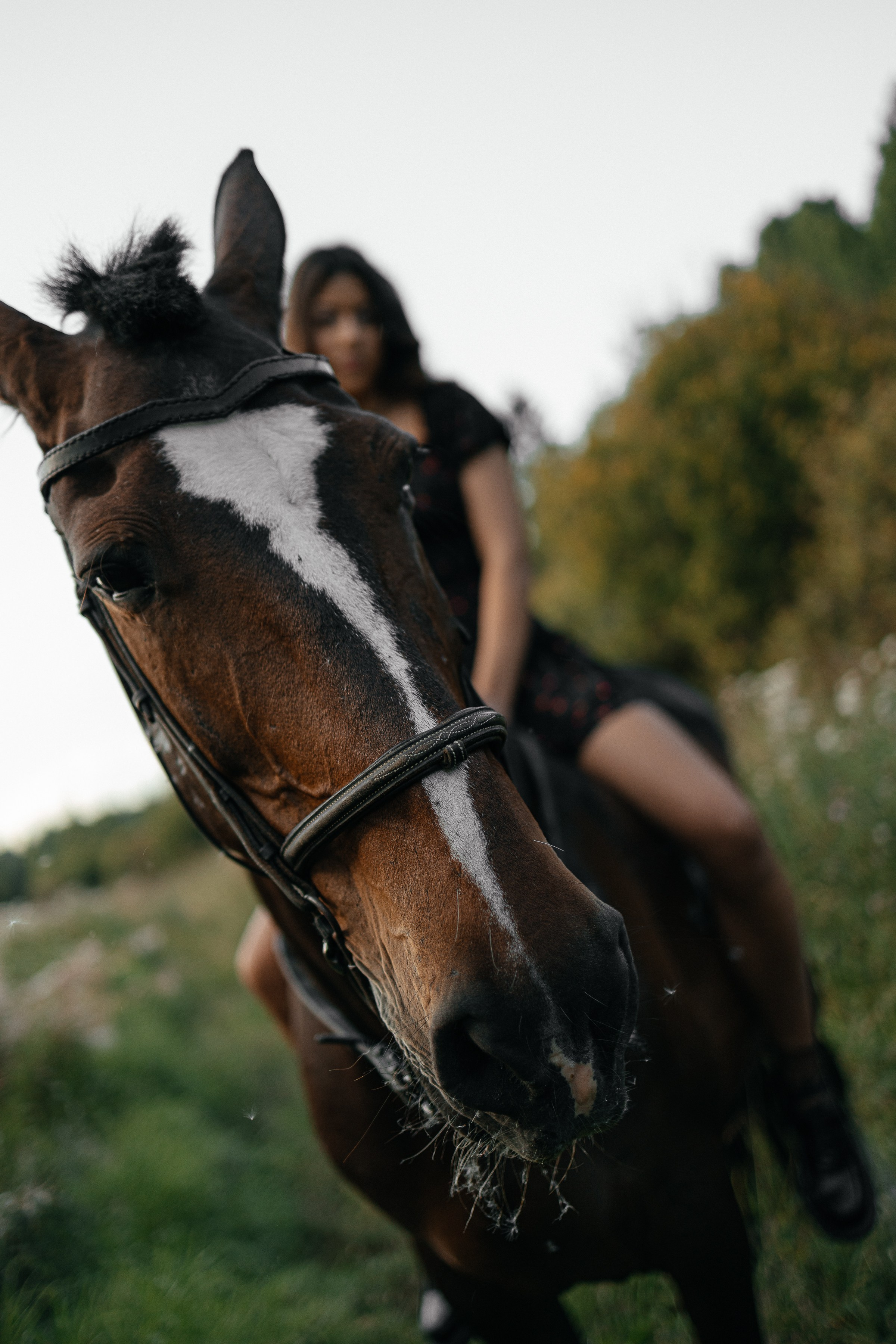 Даша/конюшня. Фотограф в Выборге и Санкт-Петербурге Маша Гуляева