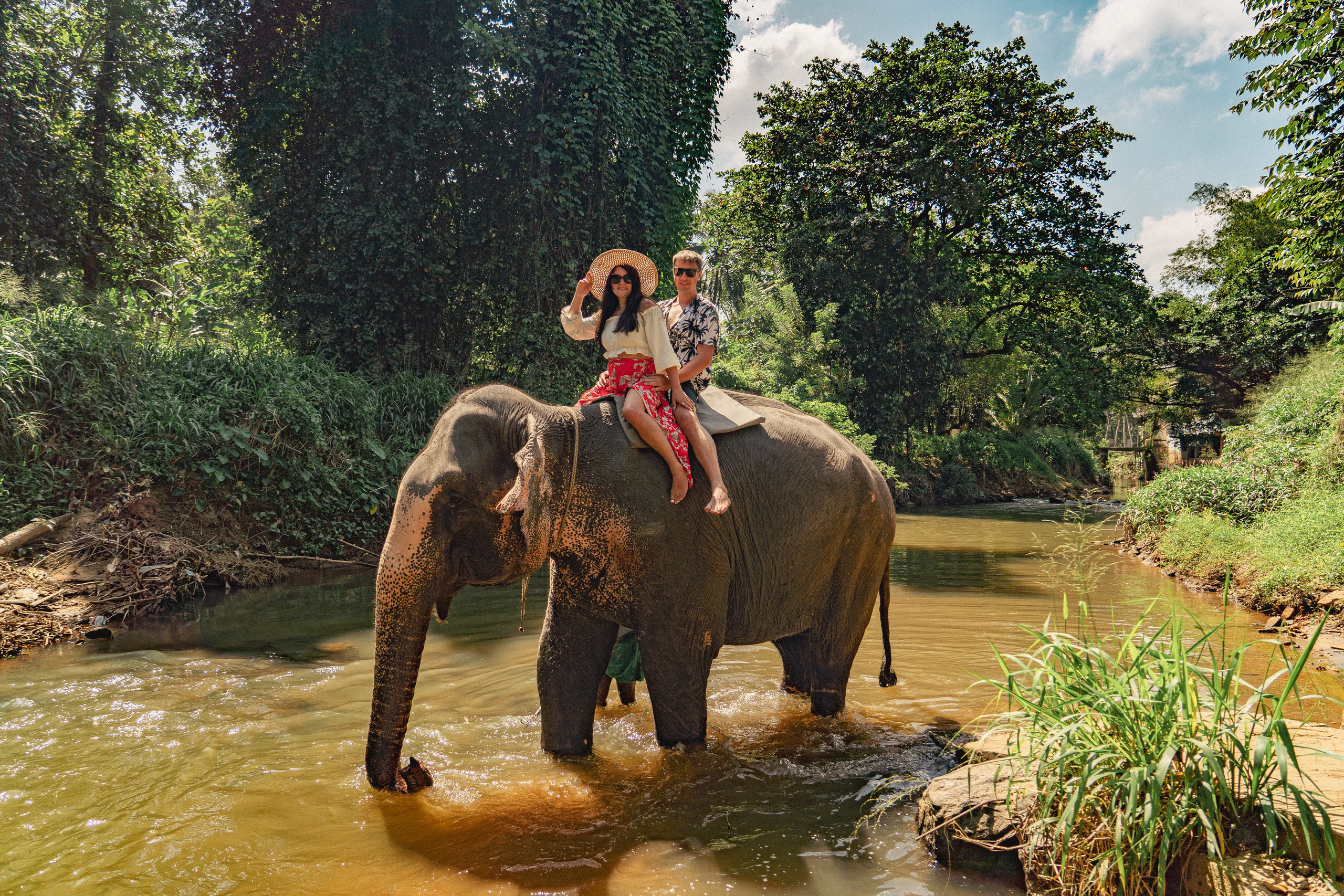 Bathing with elephants in Pinnawala, Botanical Garden