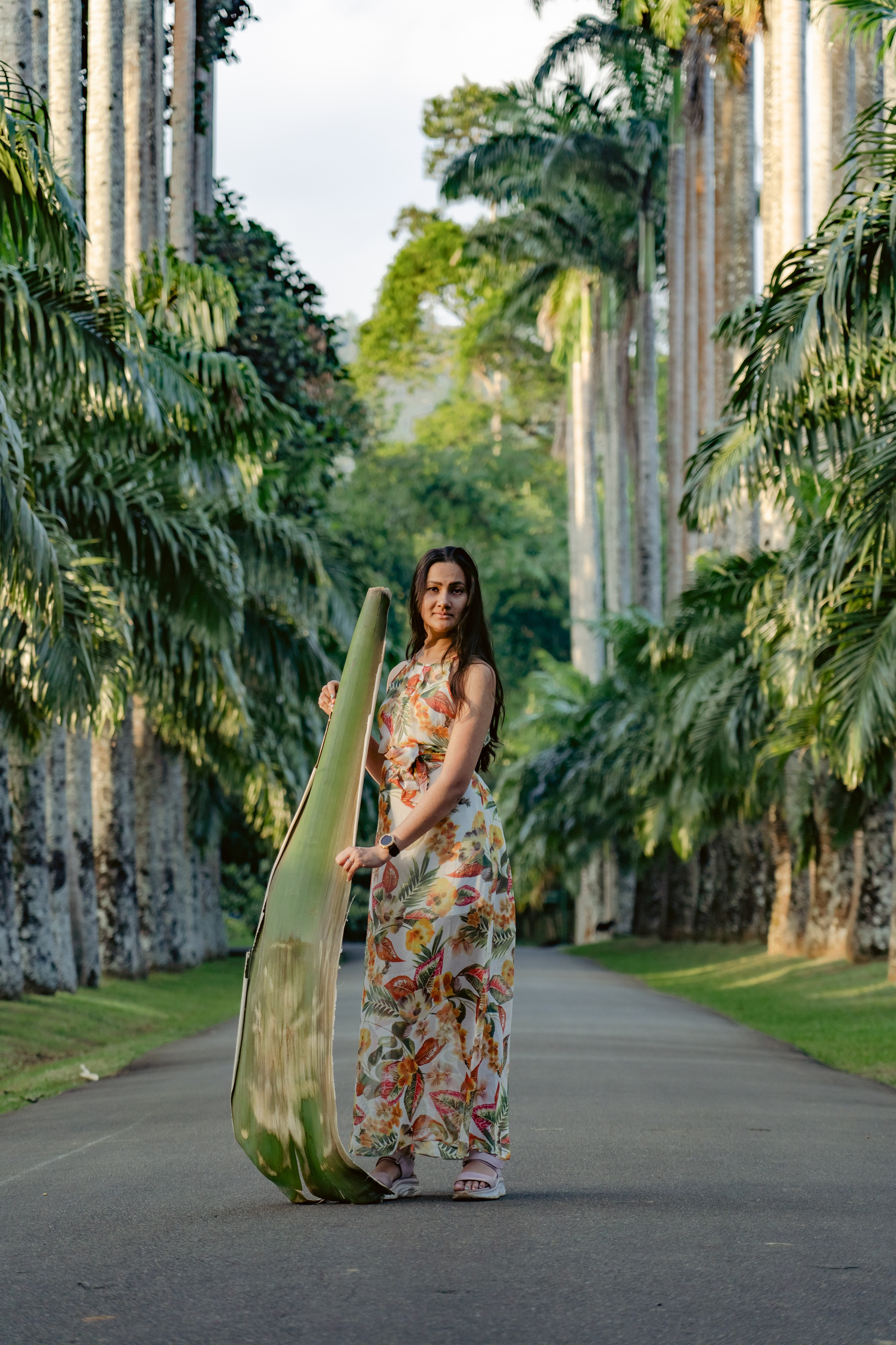 Promo content shooting for Ceylon Forward Tours