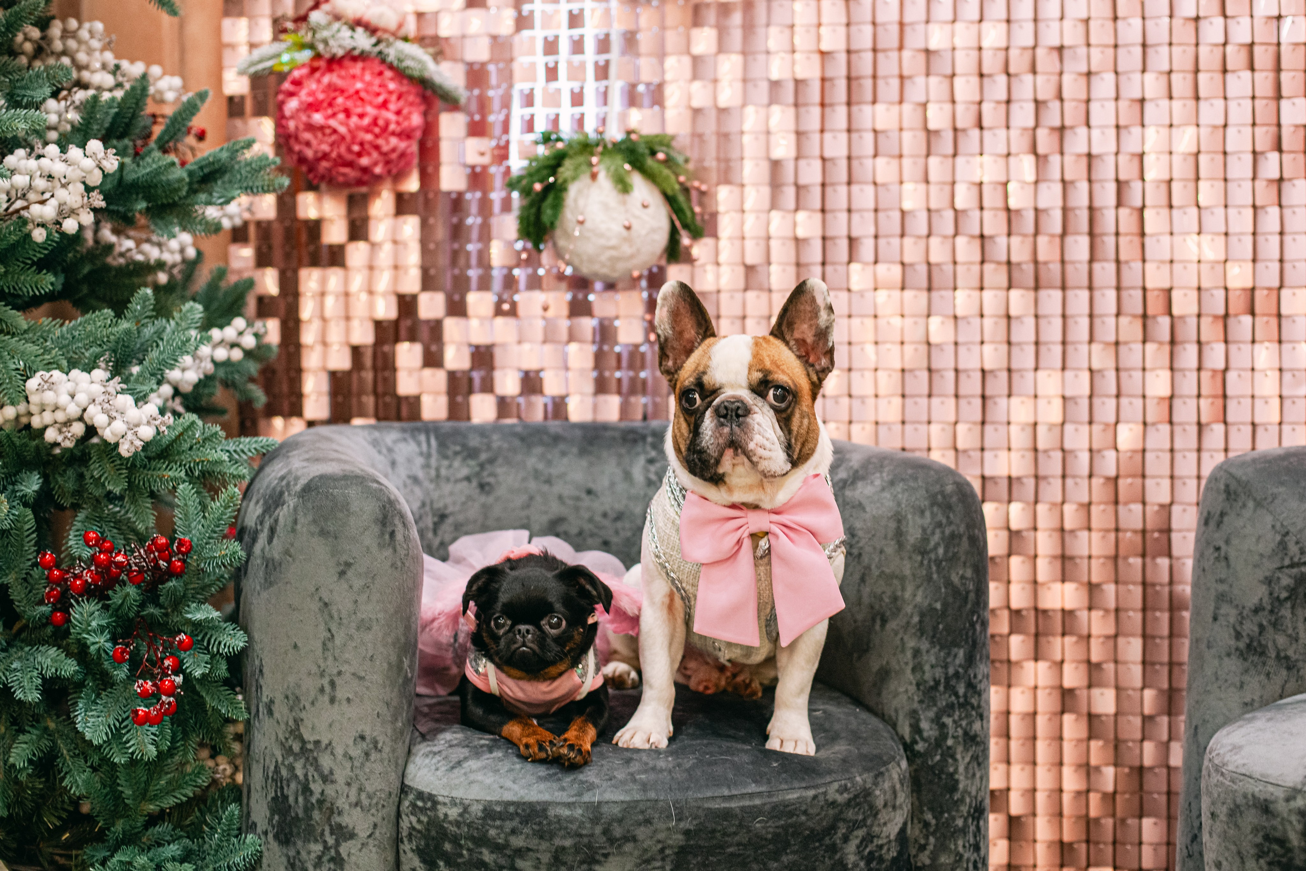 Бульёлка 2024. Фотограф-анималист Татьяна Степанова