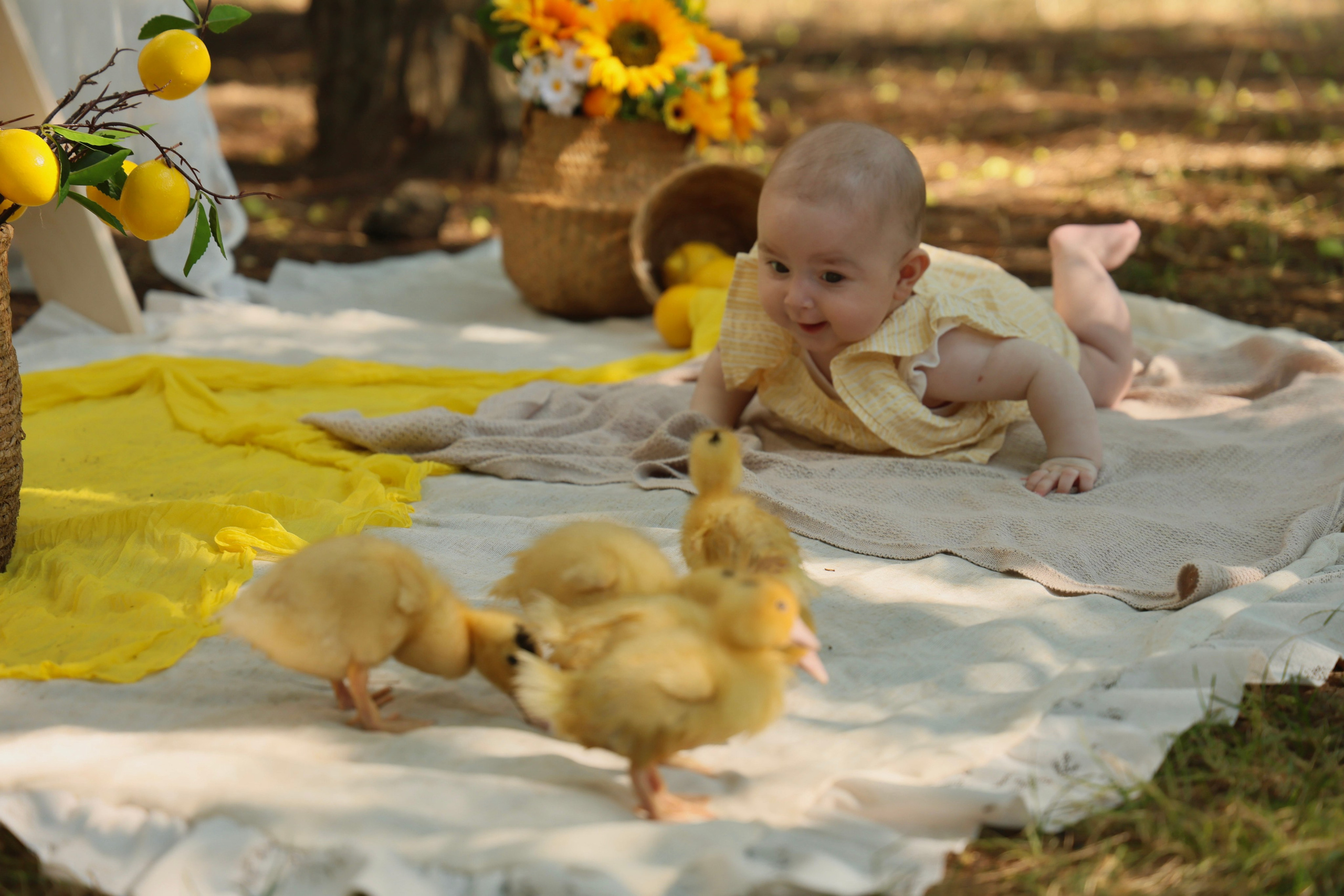 Дни рождения. Shirin Ustaeva Photography—больше, чем фотография