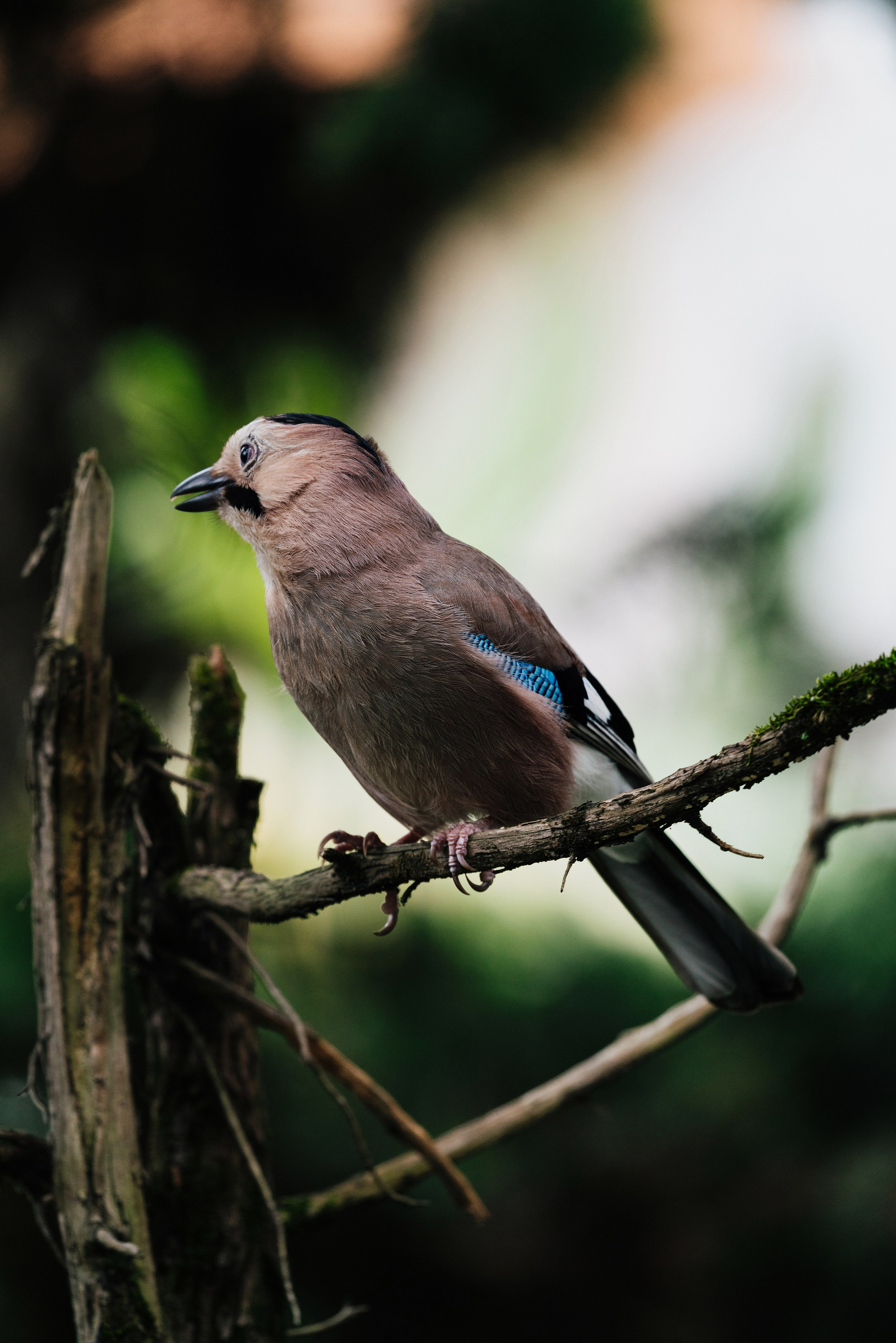 Фотограф в Москве Александр Иванов