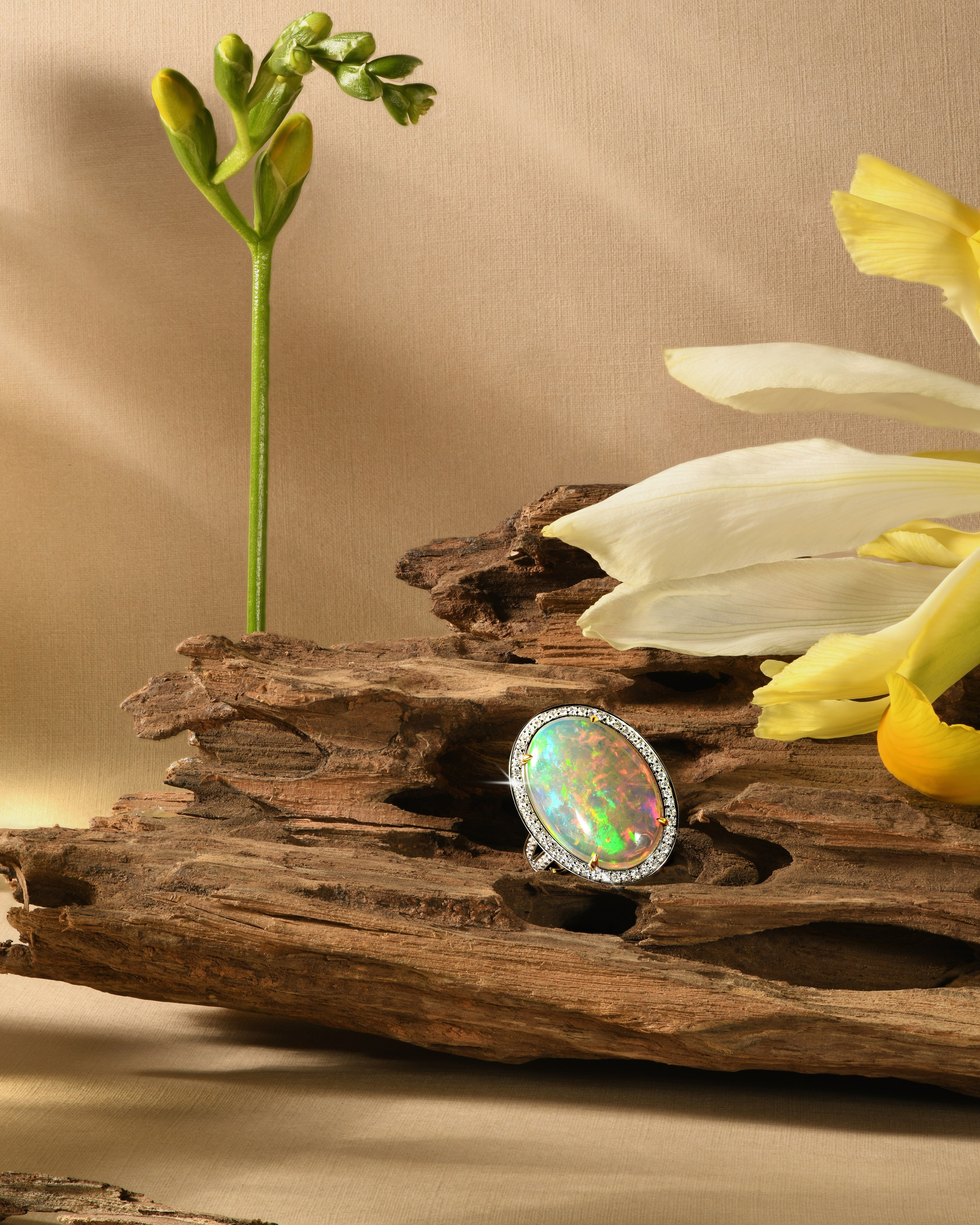 фотограф ювелирных изделий москва