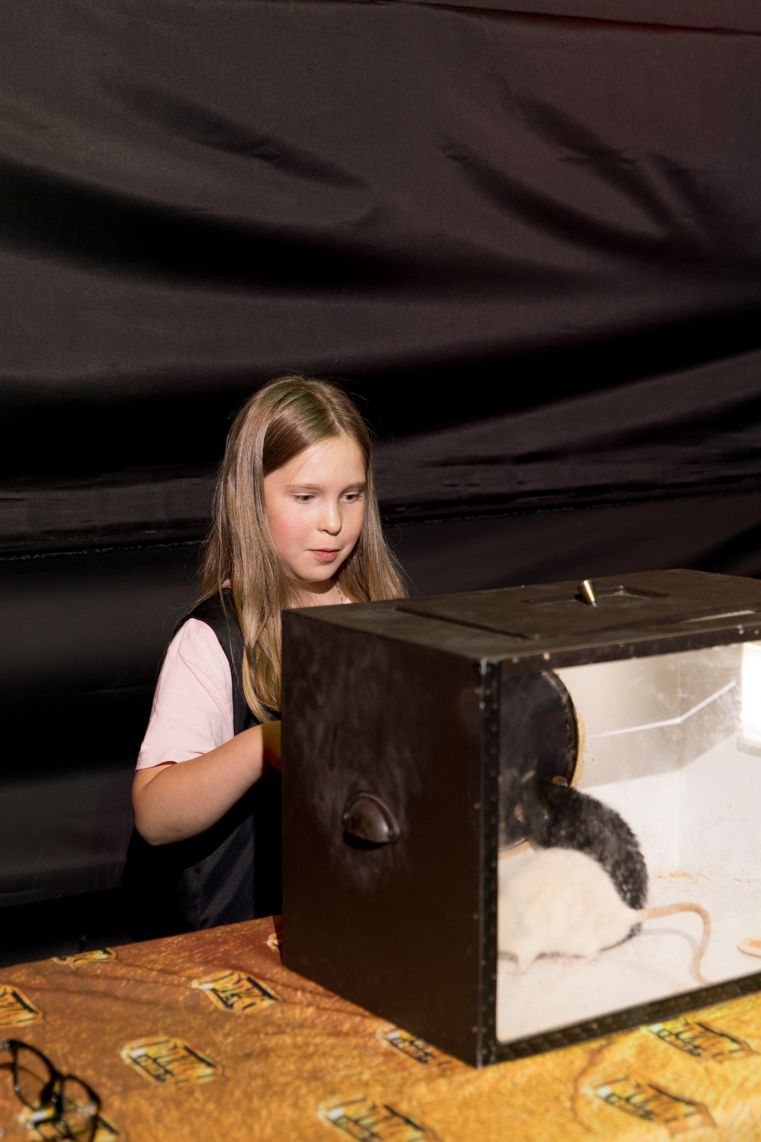 Юбилей Юлии. Свадебный и семейный фотограф Марина Злочевская