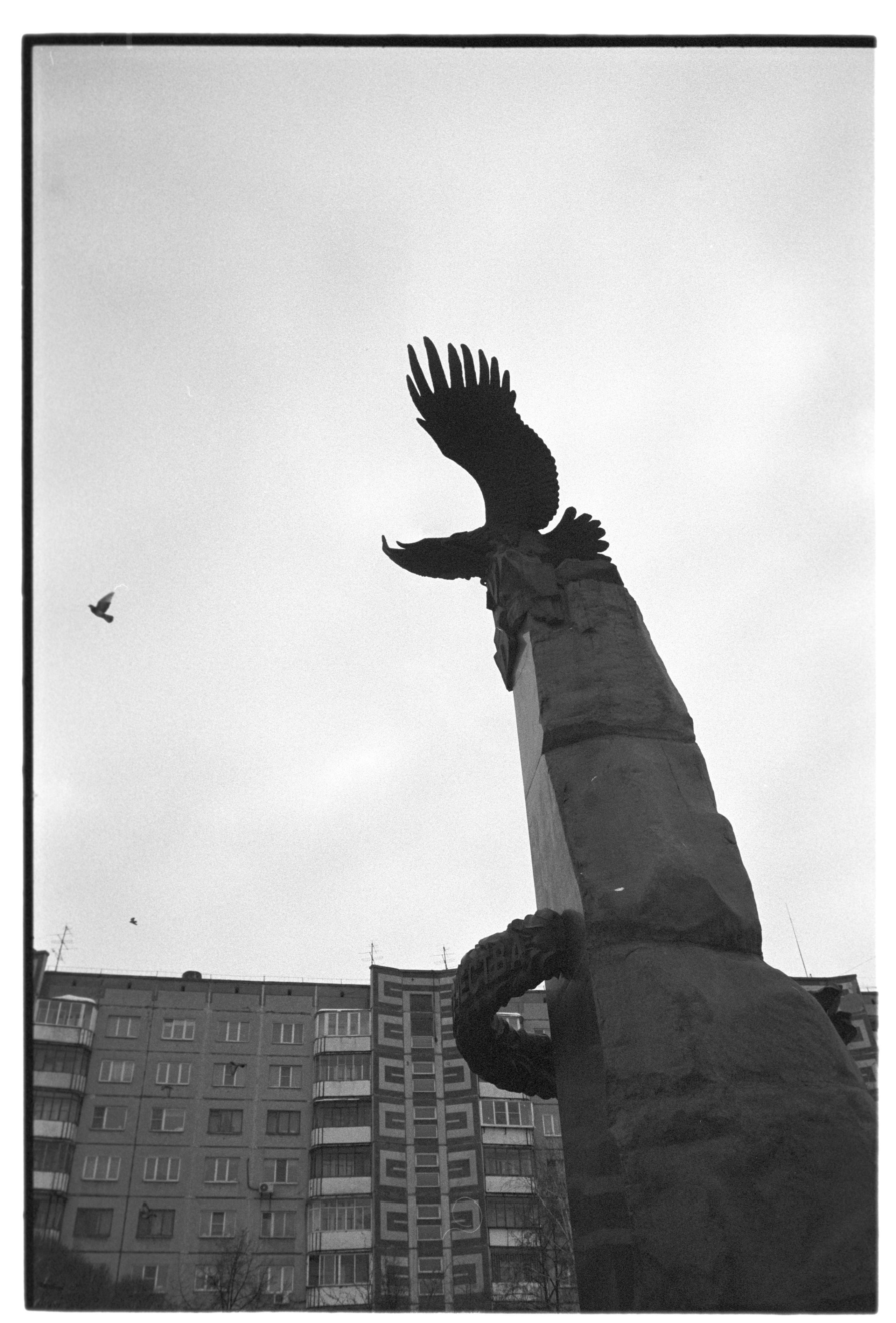 Свобода (нет). Фотограф в Санкт-Петербурге Березовский Даниил