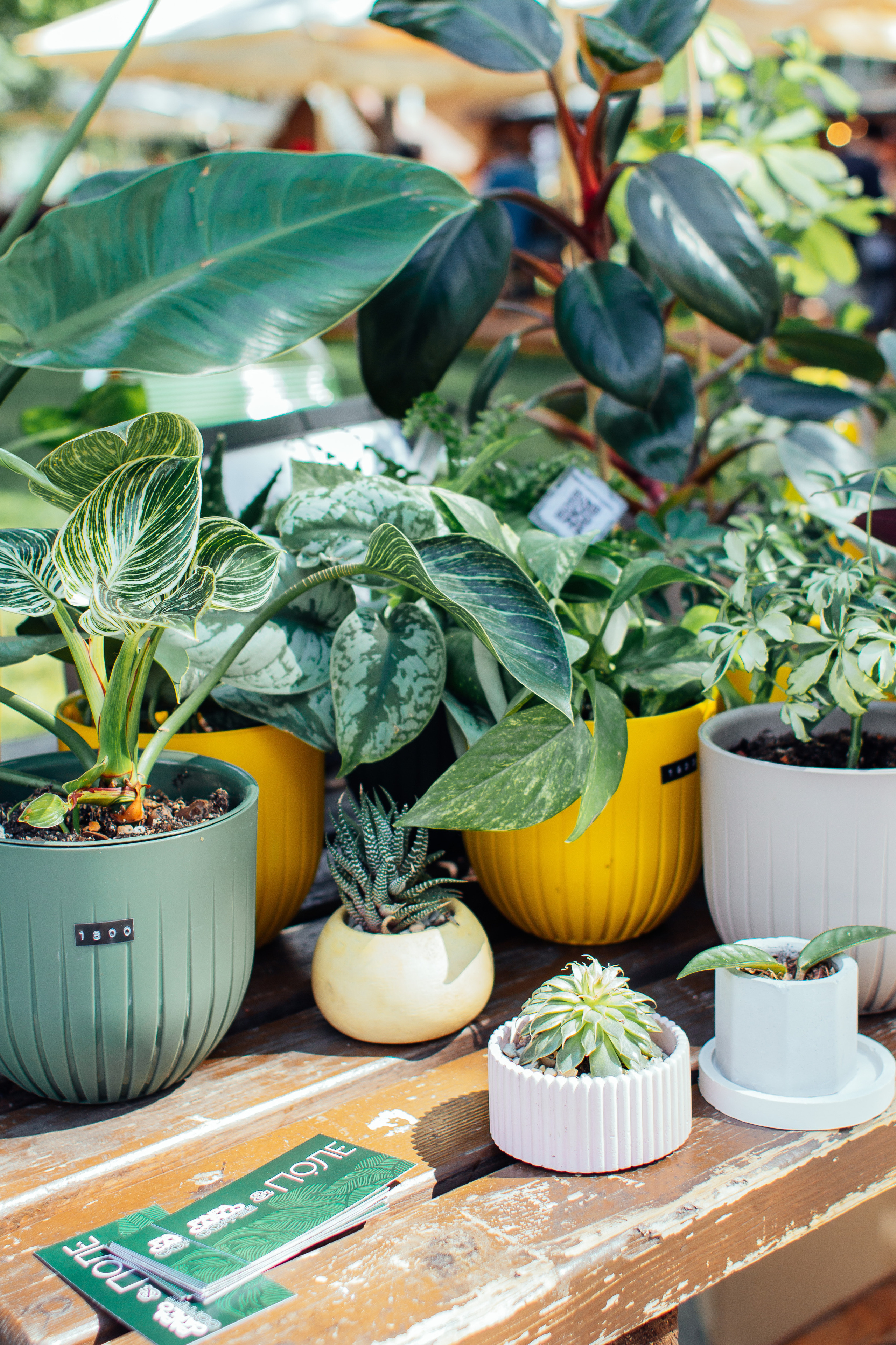 События. Портретный и репортажный фотограф в Екатеринбурге Екатерина Осетрова