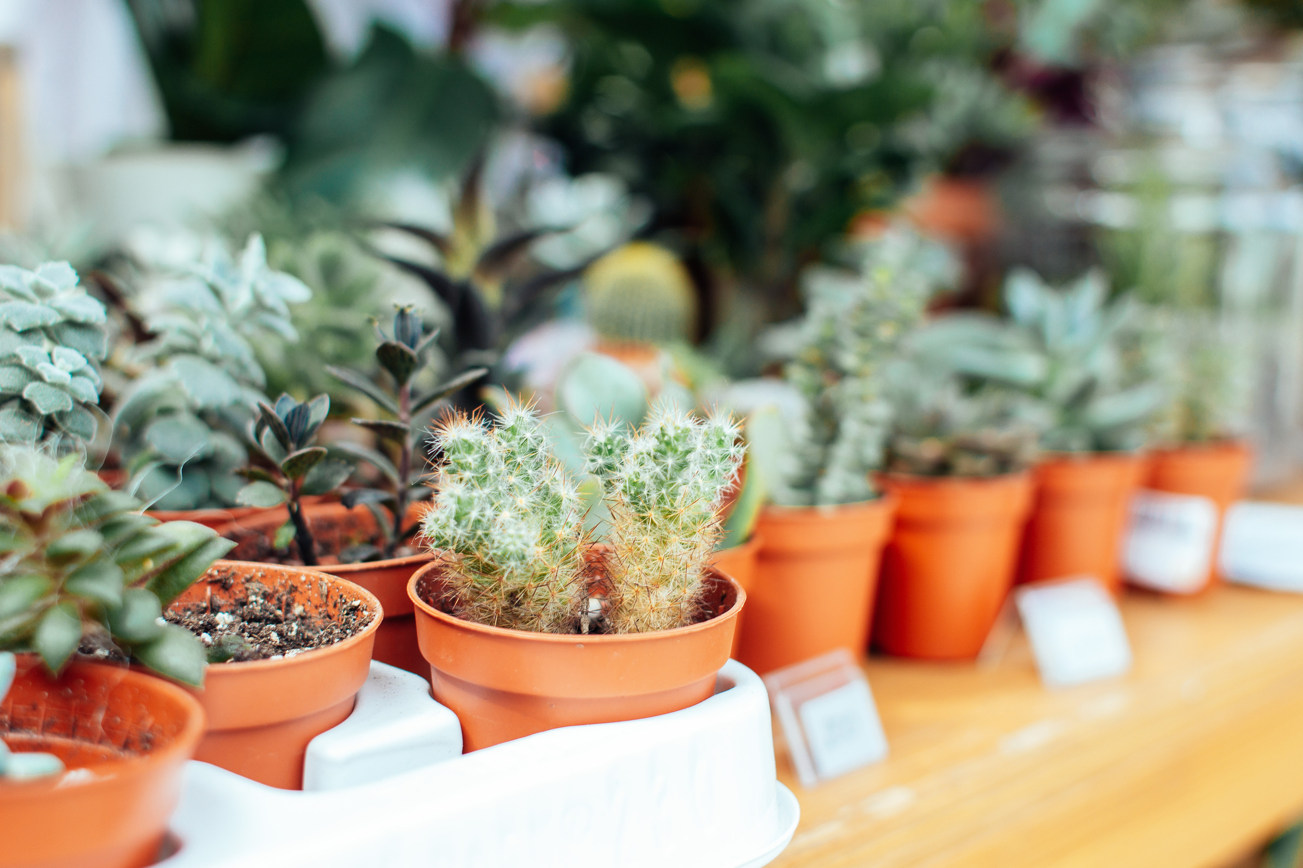 События. Портретный и репортажный фотограф в Екатеринбурге Екатерина Осетрова