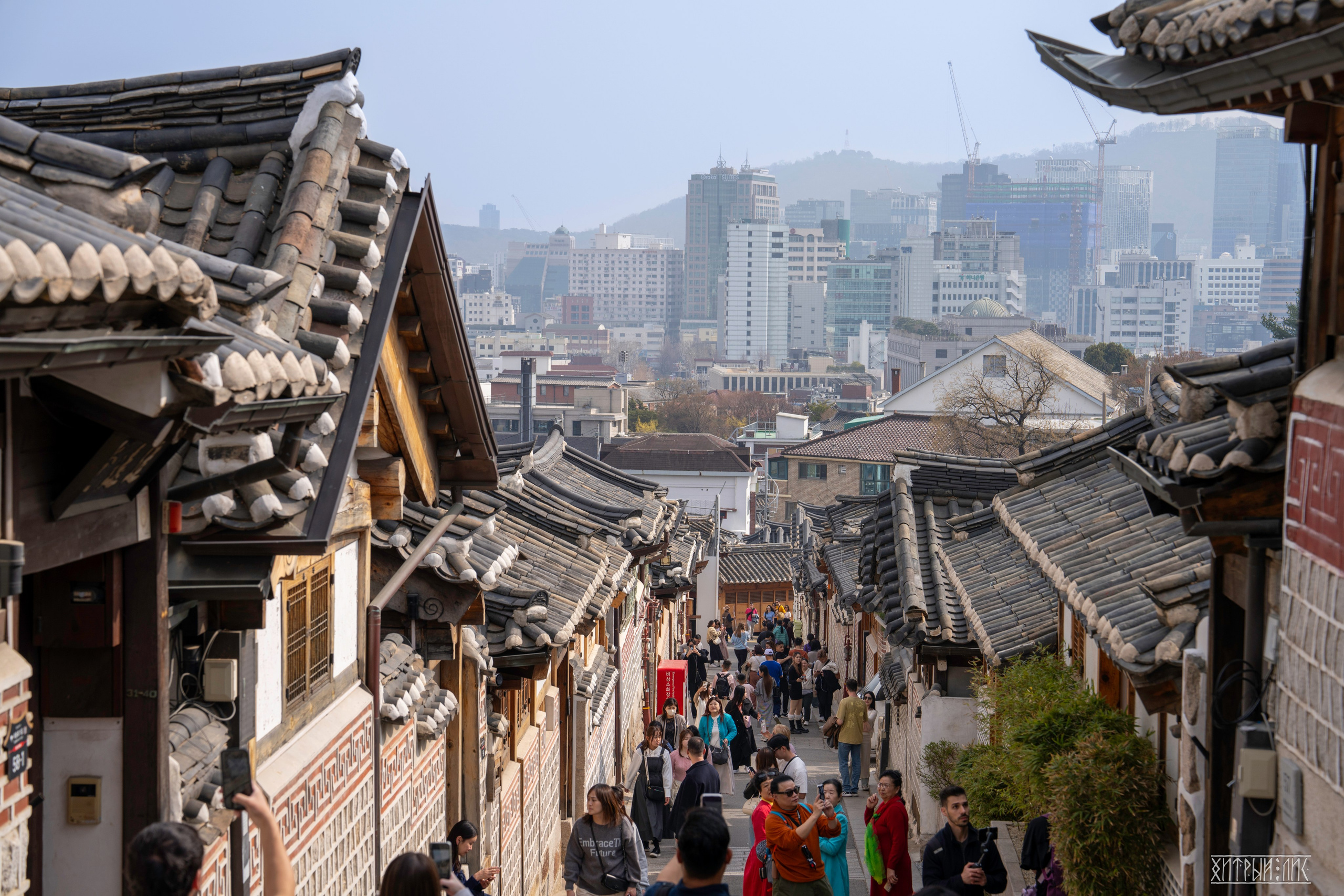 Южная Корея. Фотограф-путешественник Самойлов Максим «Sly Fox»