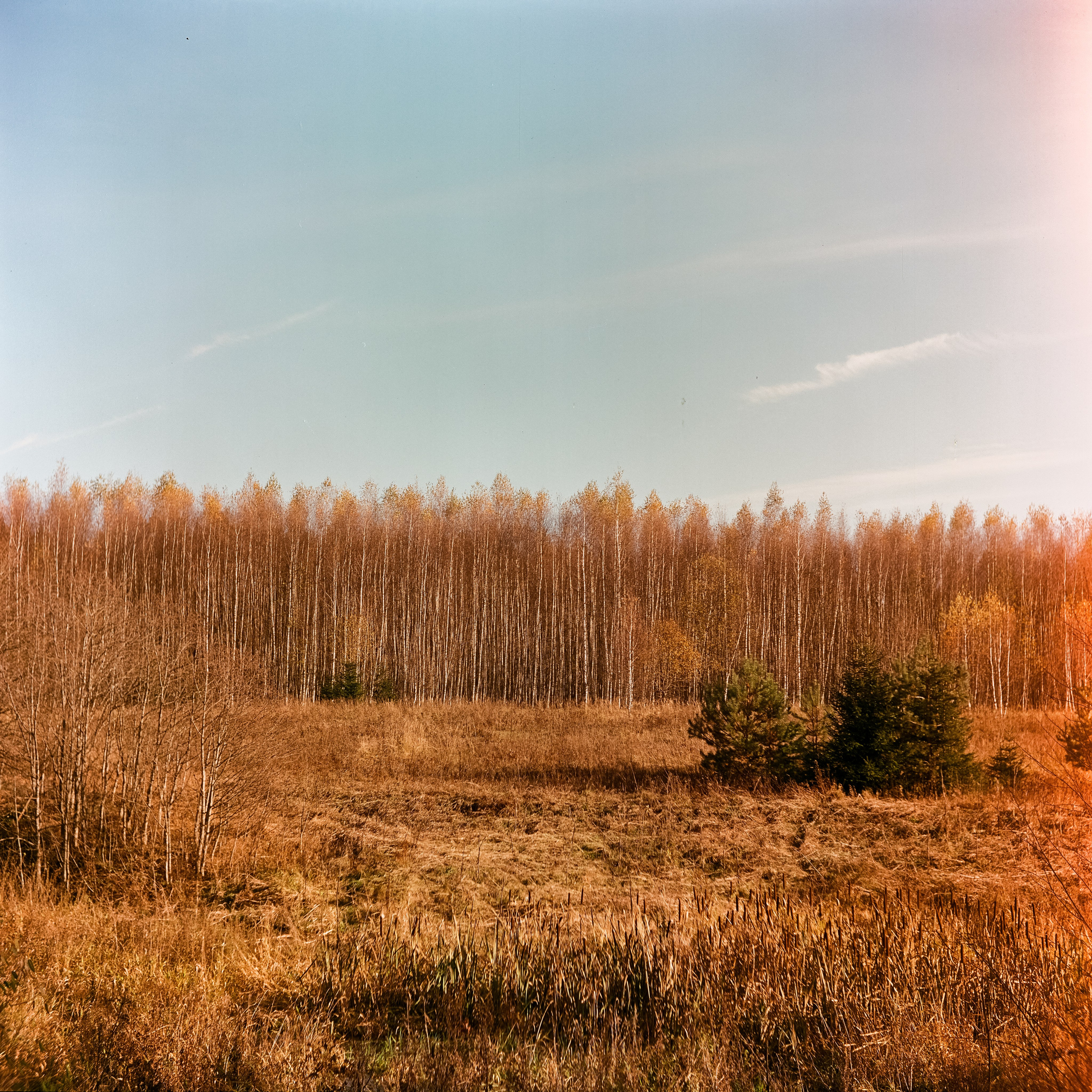 Белоконь Алексей. Фотография на пленку. Семья и путешествия