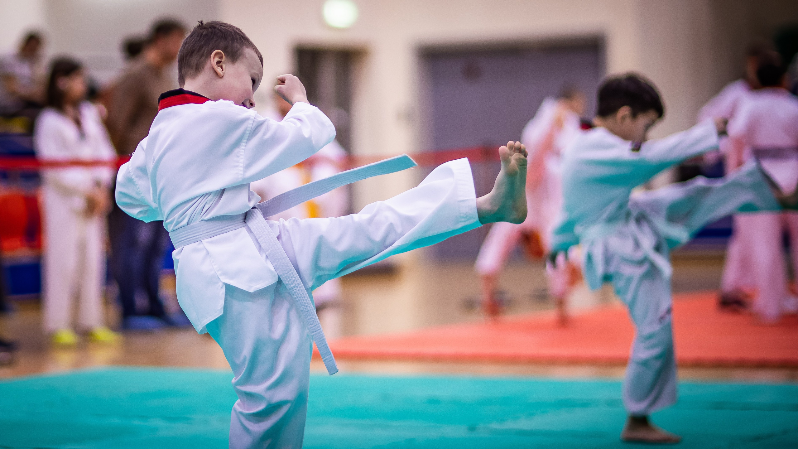 Турнир Федерации детского тхэквондо России по дисциплине ПХУМСЭ. Спортивный фотограф Максим Серегин