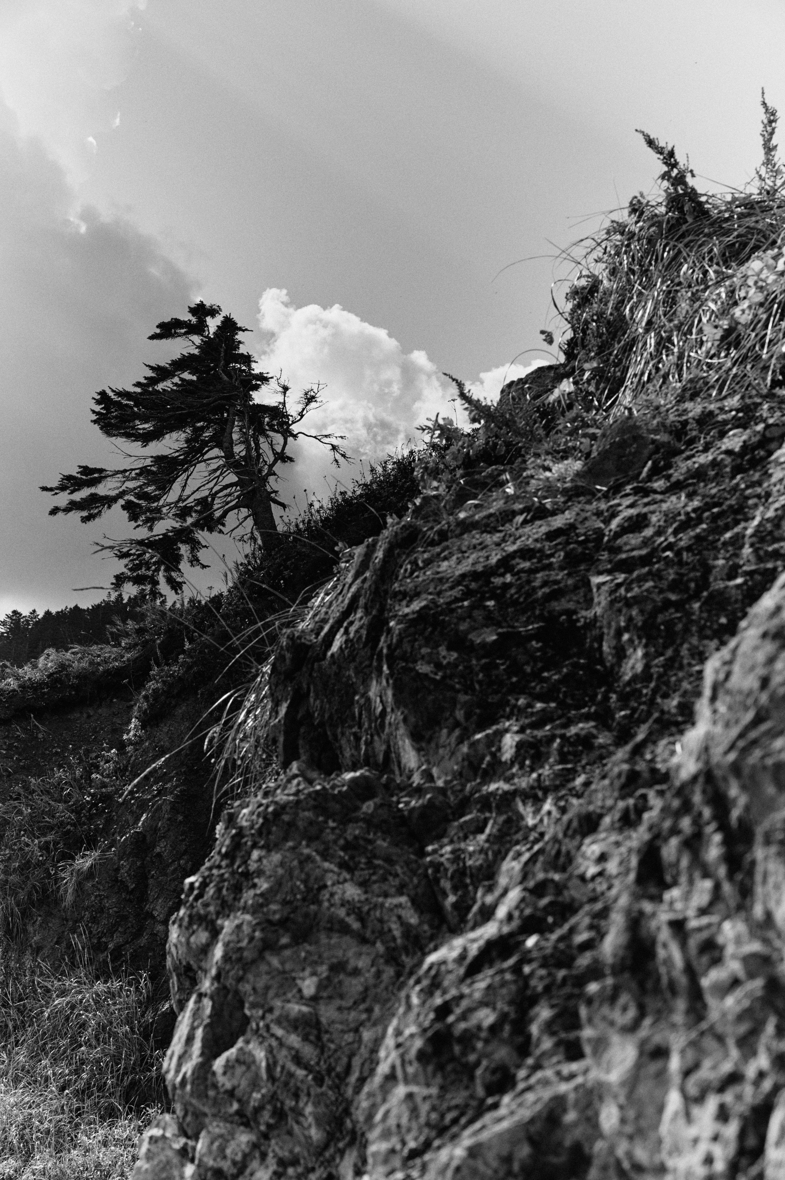 BAON x SAKHALIN. Фотограф Сурков Никита