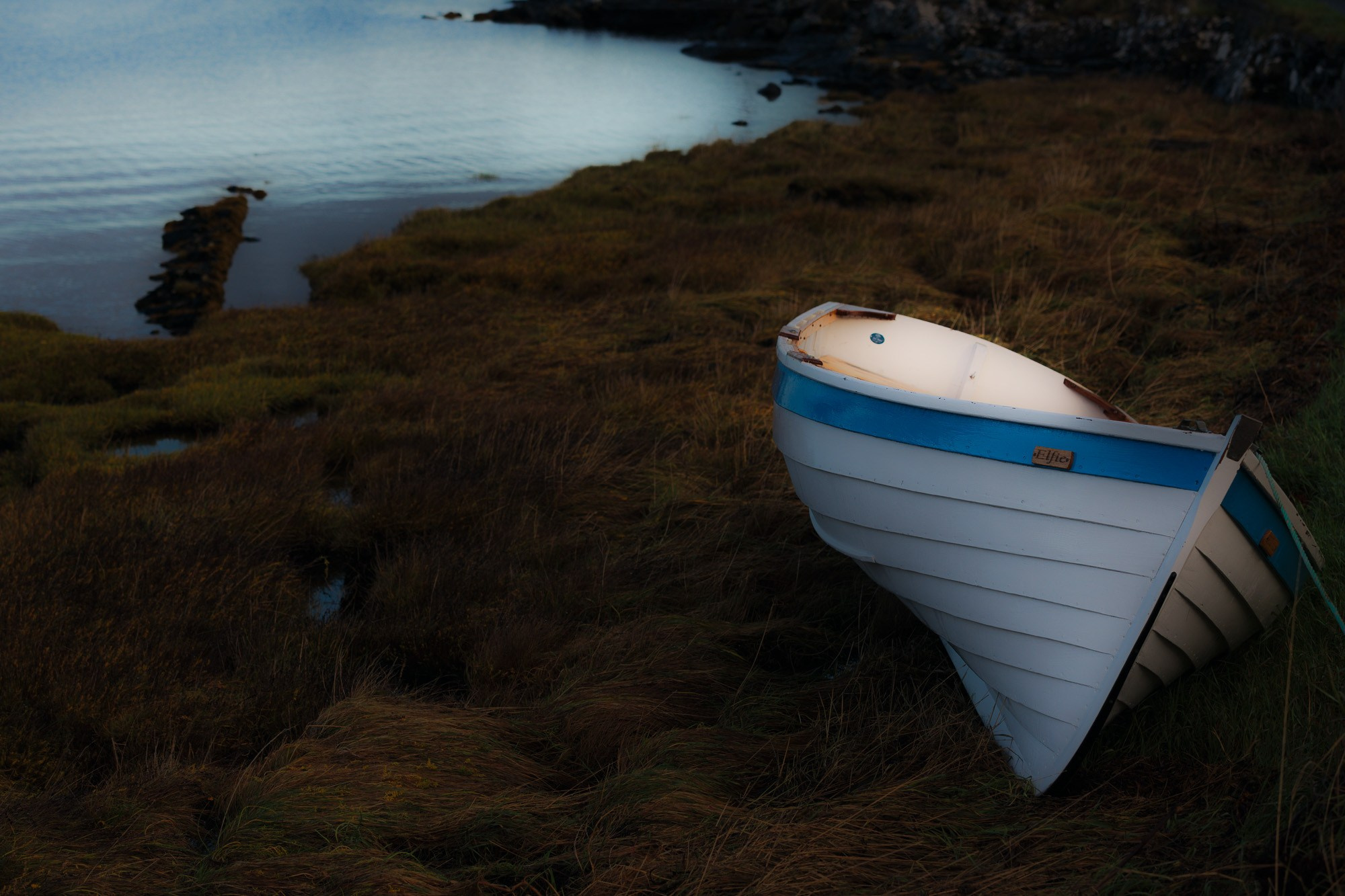 Белая деревянная лодка с синей полосой, вытащенная на берег с длинной сухой травой у воды