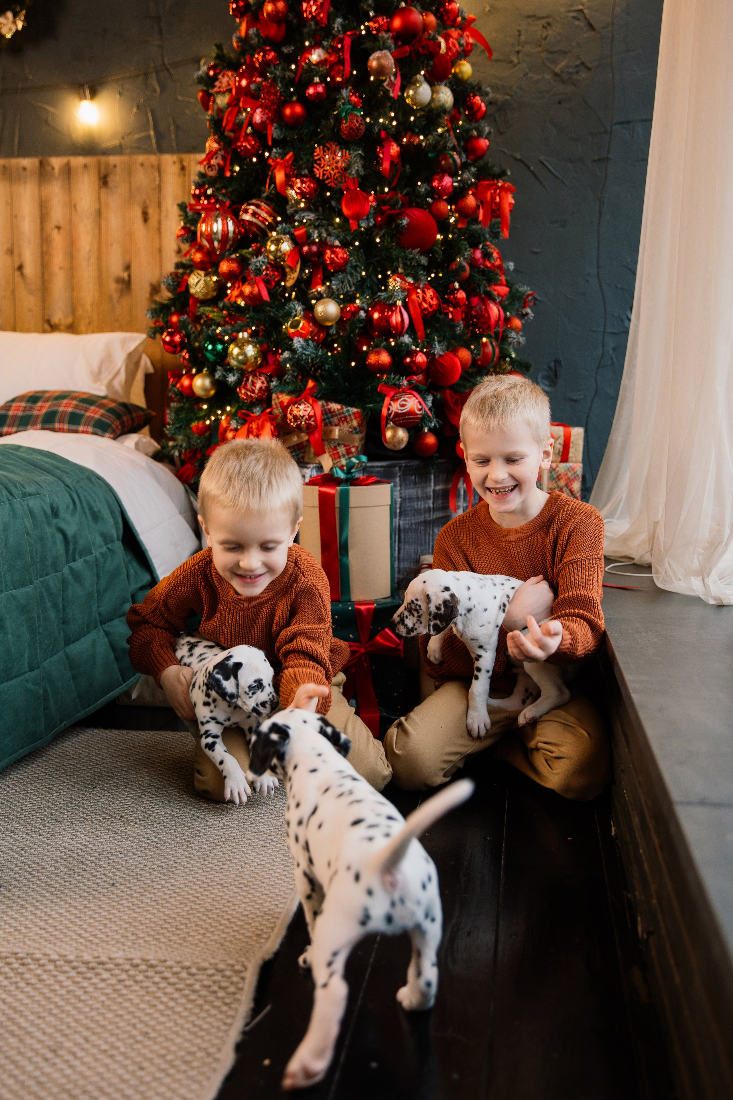 Саша и Рома. Семейный фотограф Толстикова Кристина
