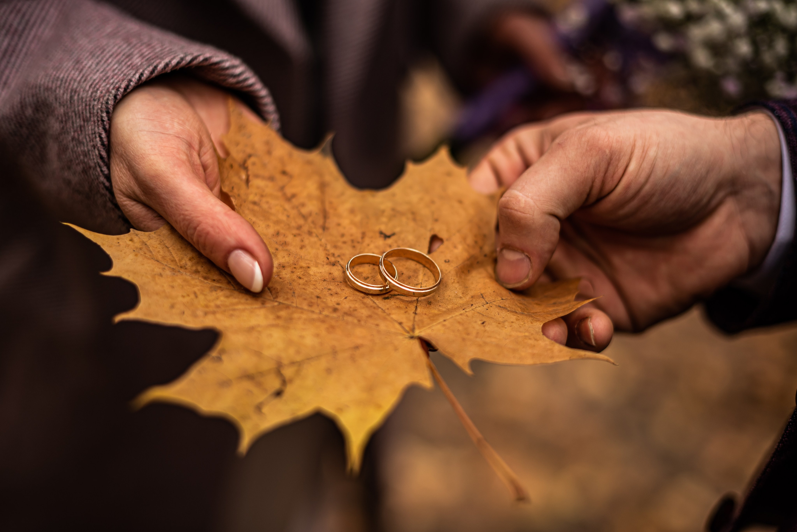 Свадебное. Фотограф Александр Каничев