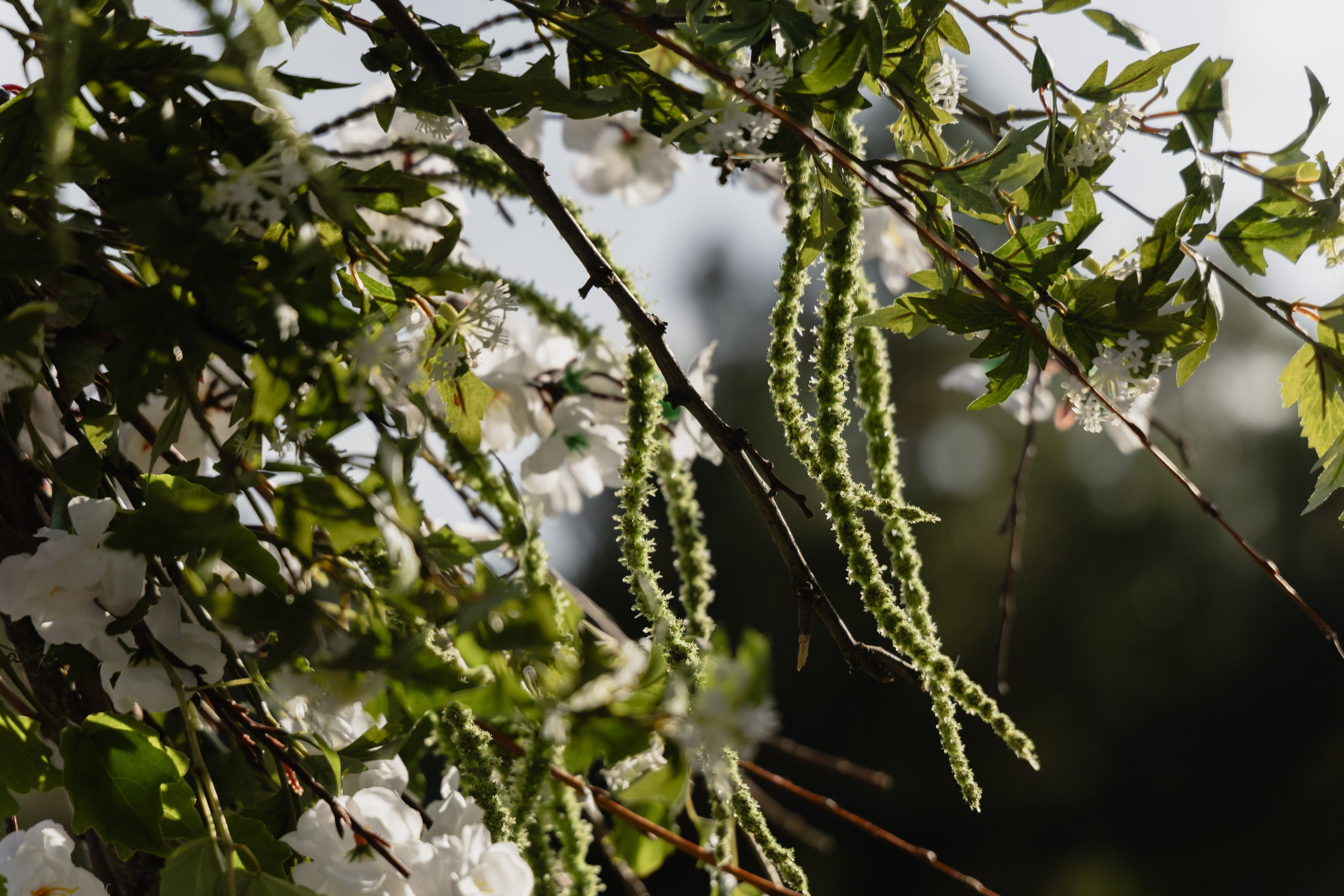 Georgy & Julia. Свадебный организатор в Ростове-на-Дону Яснов Роман