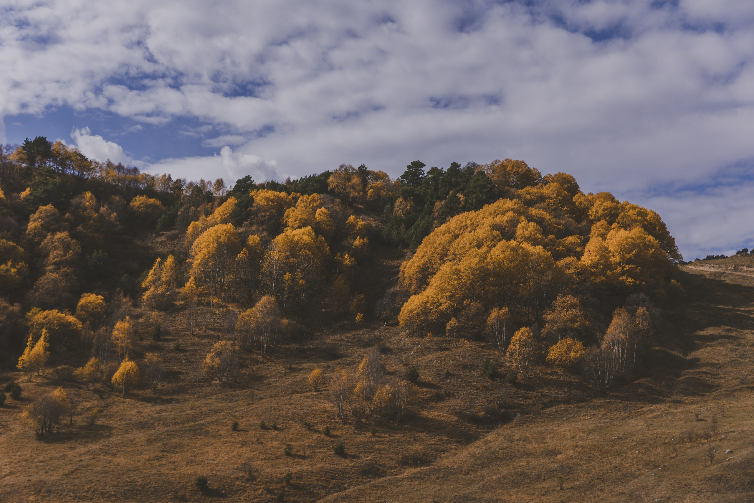 Осетия. Мастерская для создания имиджа от BenSami в Санкт-Петербурге и Москве