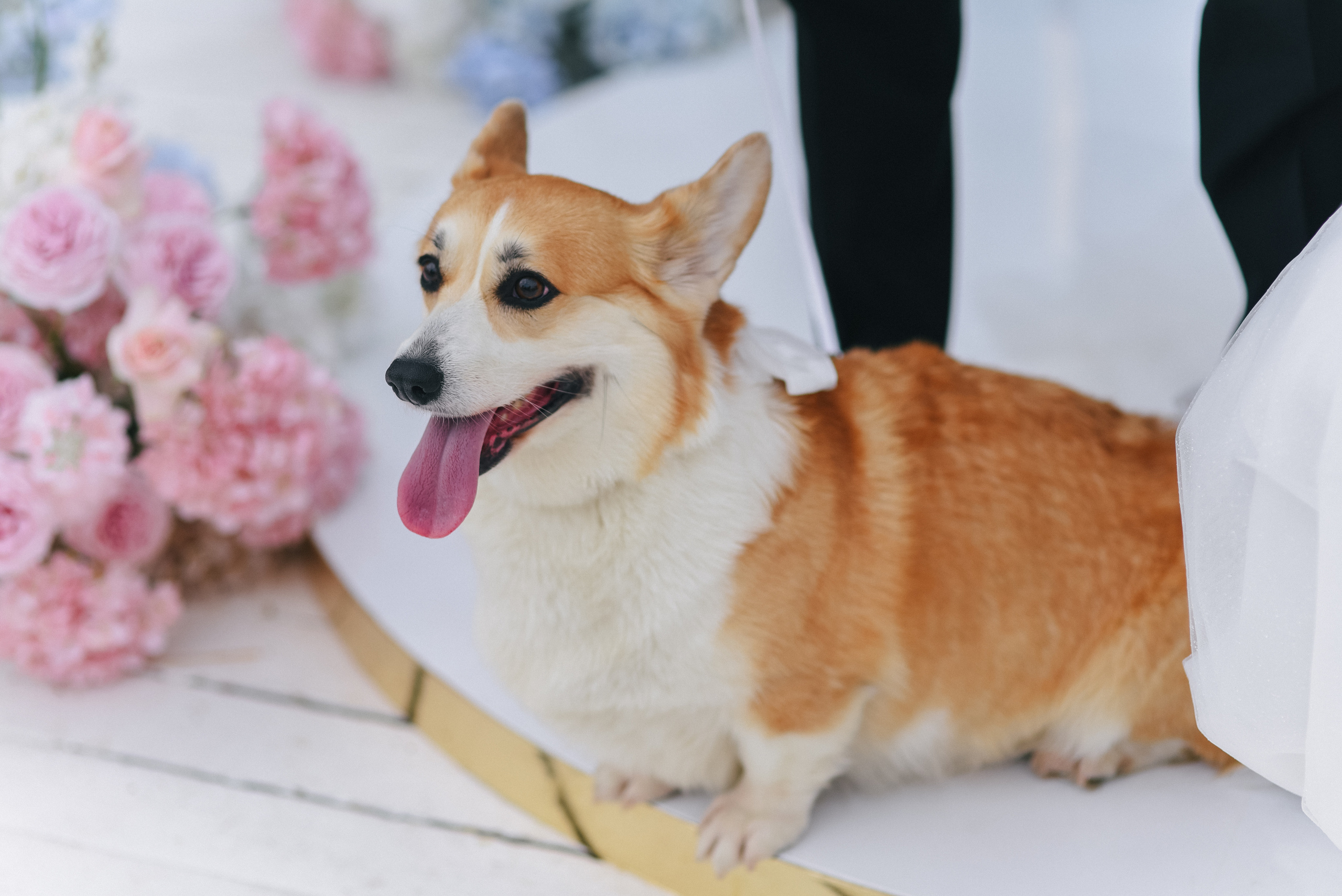 Андрей + Катя — Организация EventGstudio. Свадебный и семейный фотограф Волгоград Москва