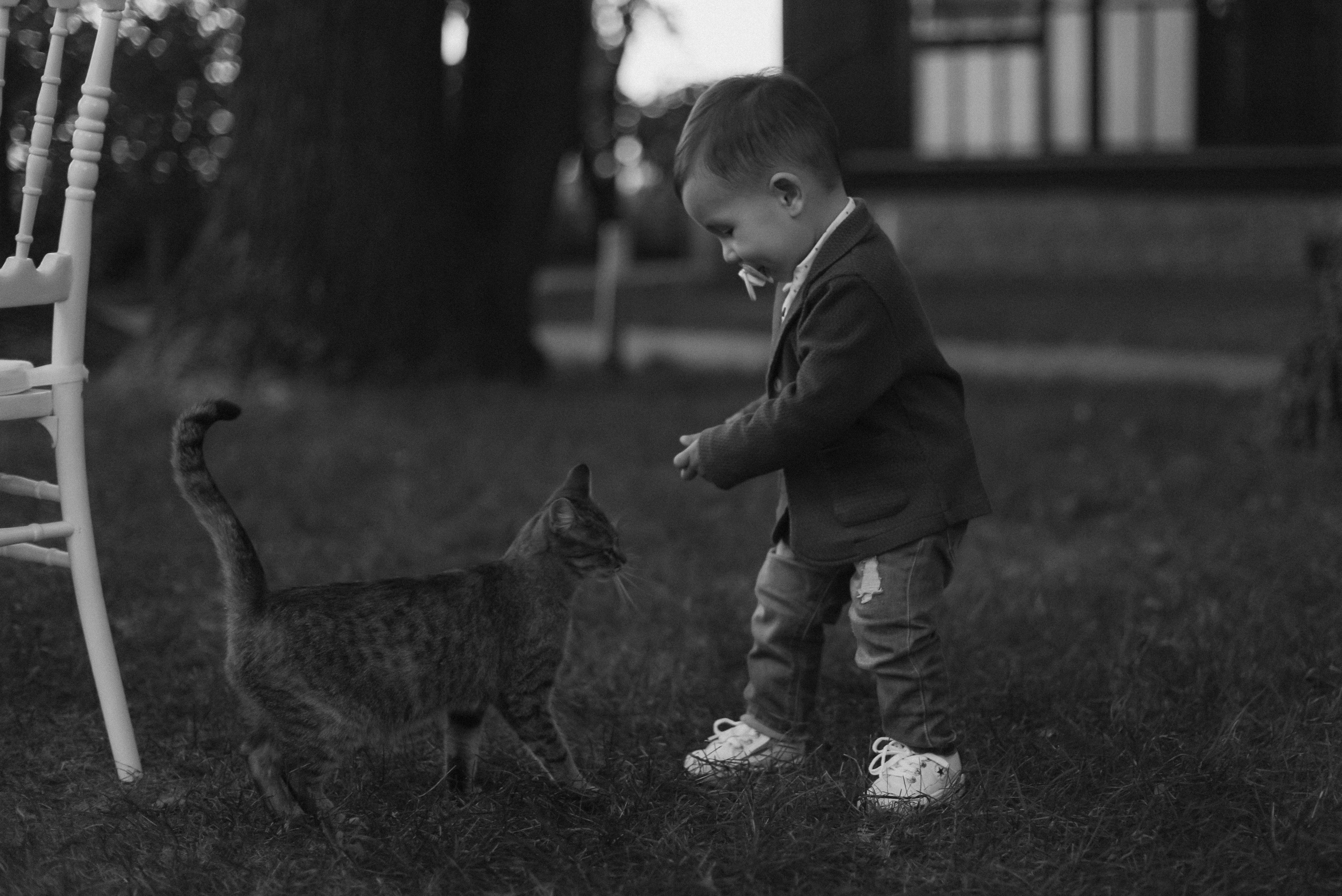 Макс + Катя — Организация Светлана Бортавова. Свадебный и семейный фотограф Волгоград Москва