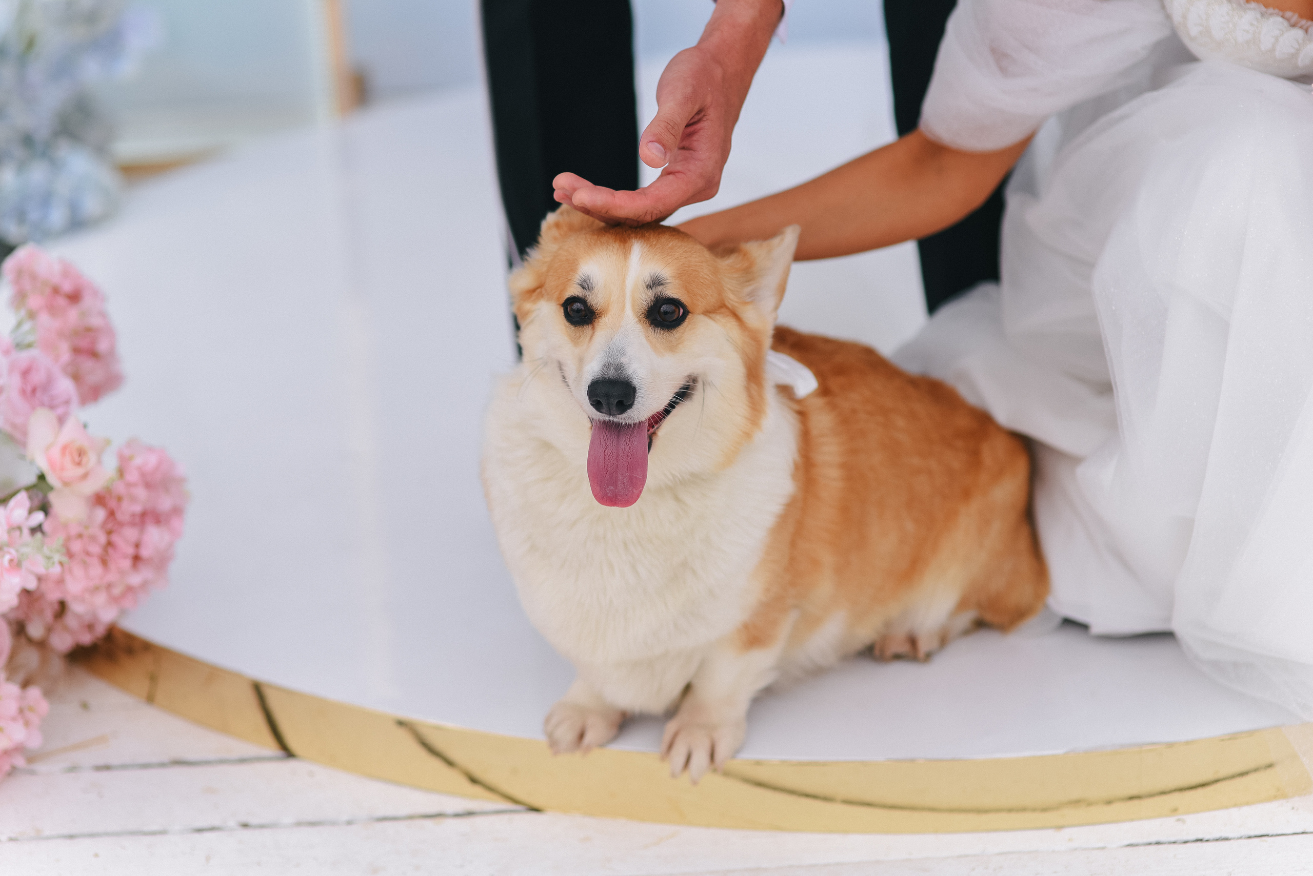 Андрей + Катя — Организация EventGstudio. Свадебный и семейный фотограф Волгоград Москва