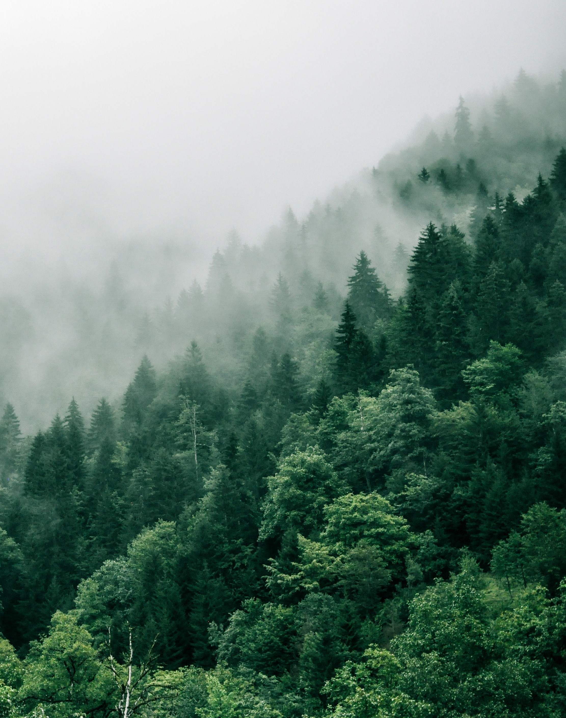 Сборник постеров из открытых источников. Хоумстейджинг и Инвестремонт в Екатеринбурге | Увеличьте стоимость вашей недвижимости