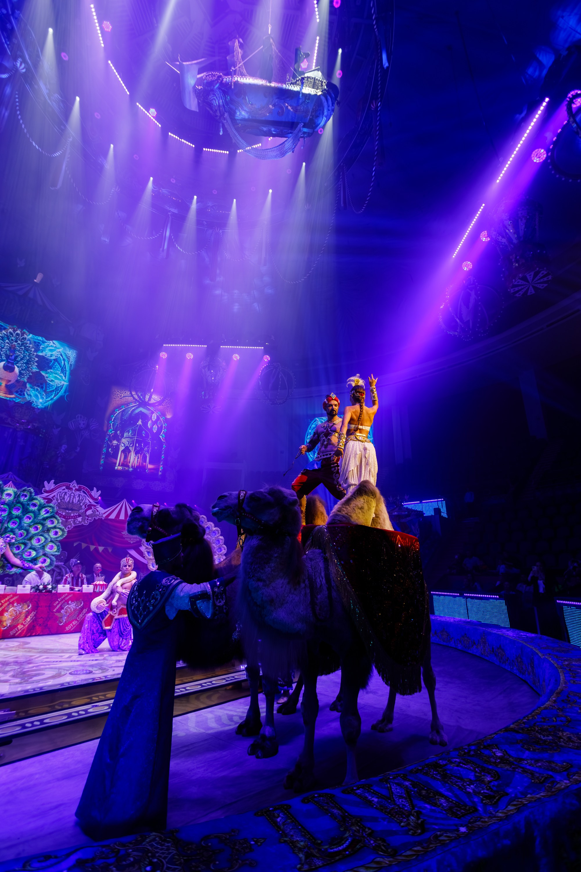 Сочинский росгорцирк Шоу Гии Эрадзе цирк. Профессиональный фотограф в Сочи Виктория Джой. Обучение