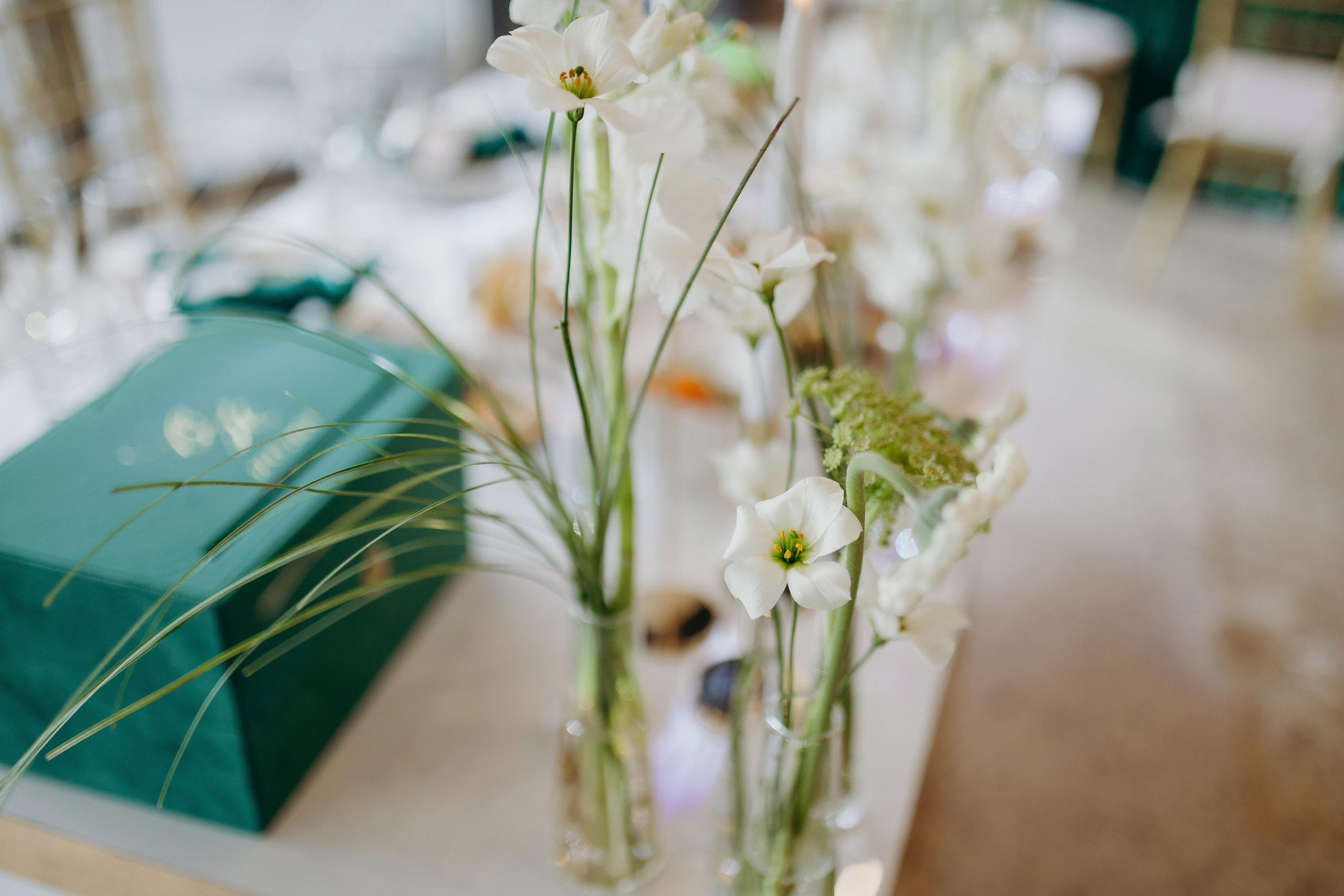 Wedding day 31.08.24. Свадебный фотограф в Санкт-Петербурге