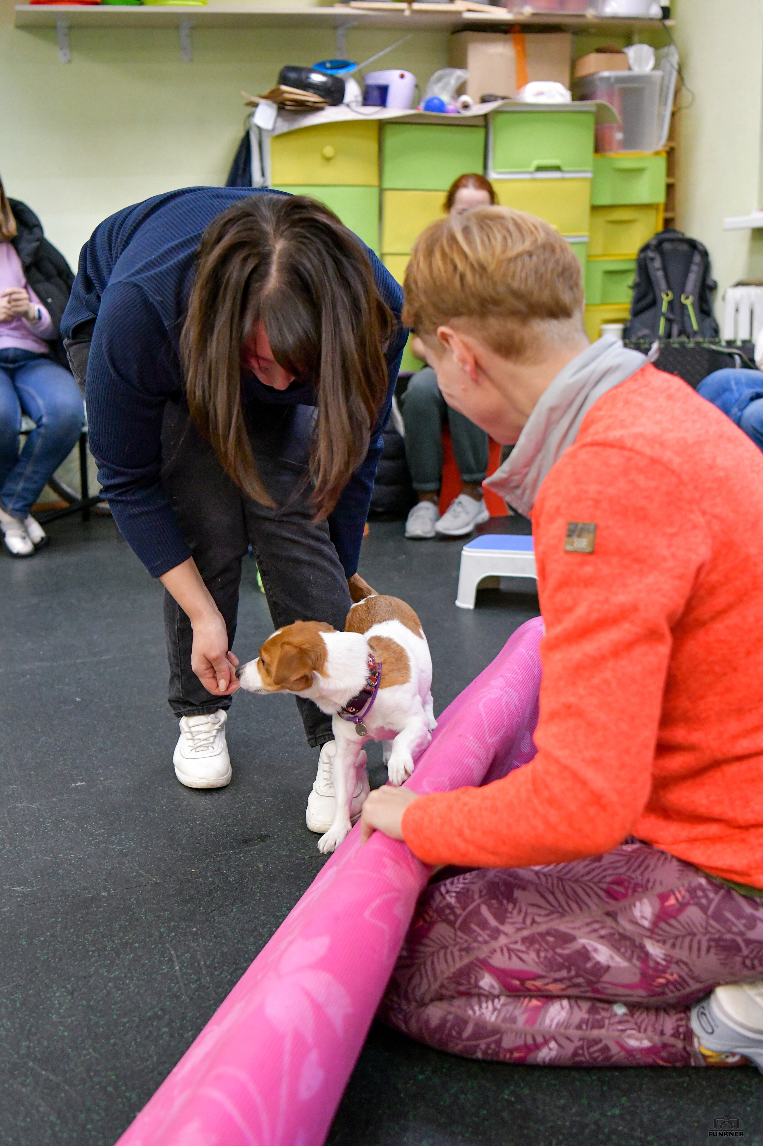 Кинологический клуб «Бодрый хвост». Свой взгляд через объектив