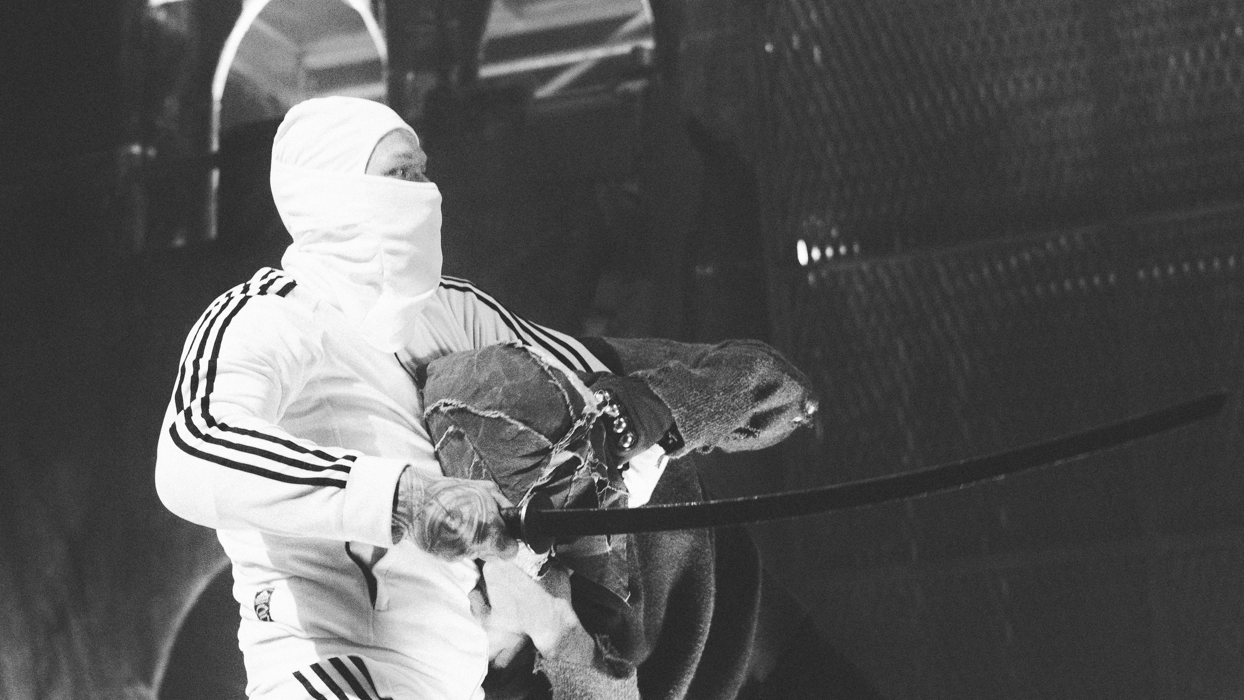 Хаски. Битва при Петербурге'26. RUSLAN ROZANOV