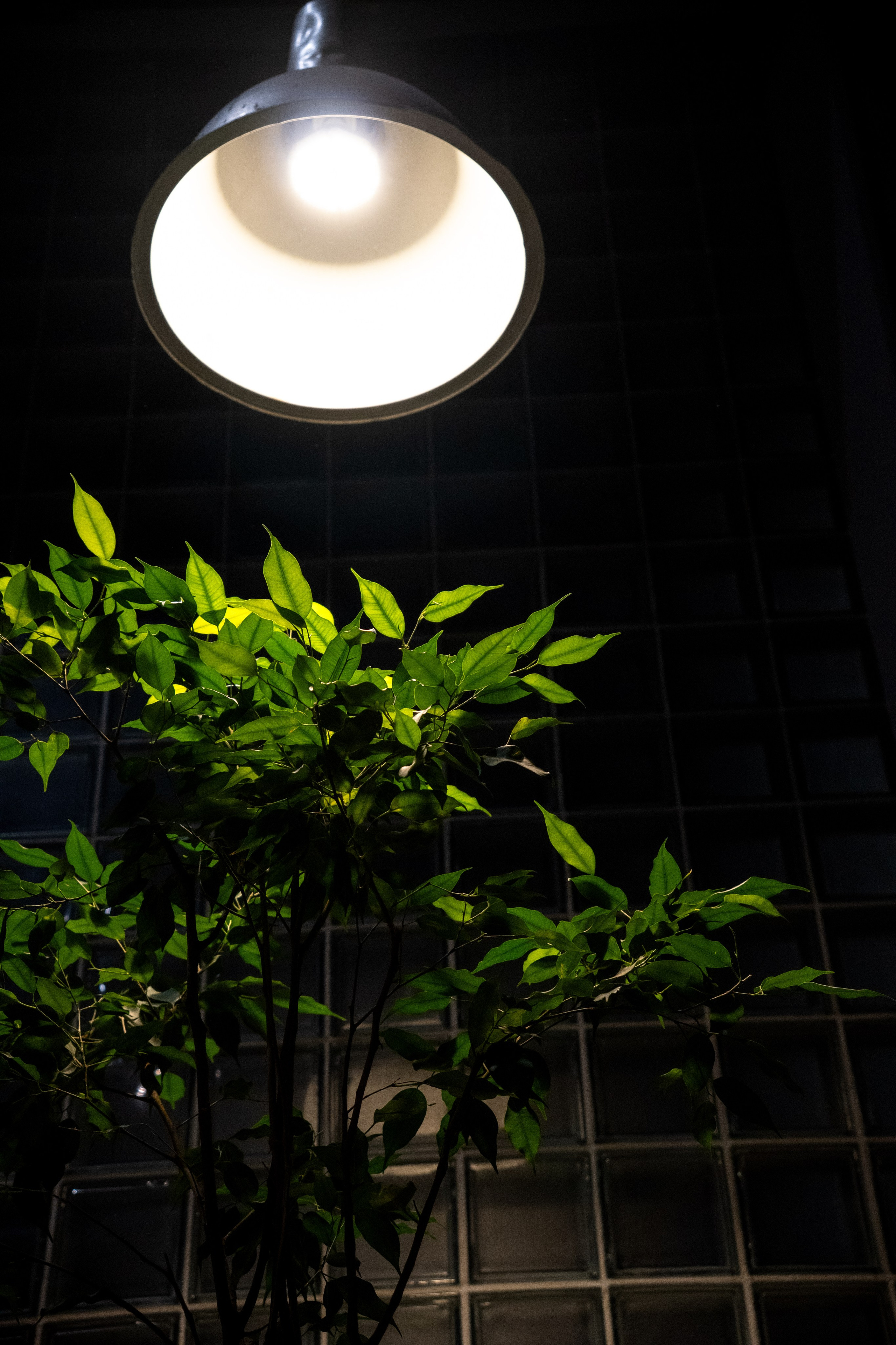 SM MARKET WINTER 25. Фотограф Дмитрий Жилин