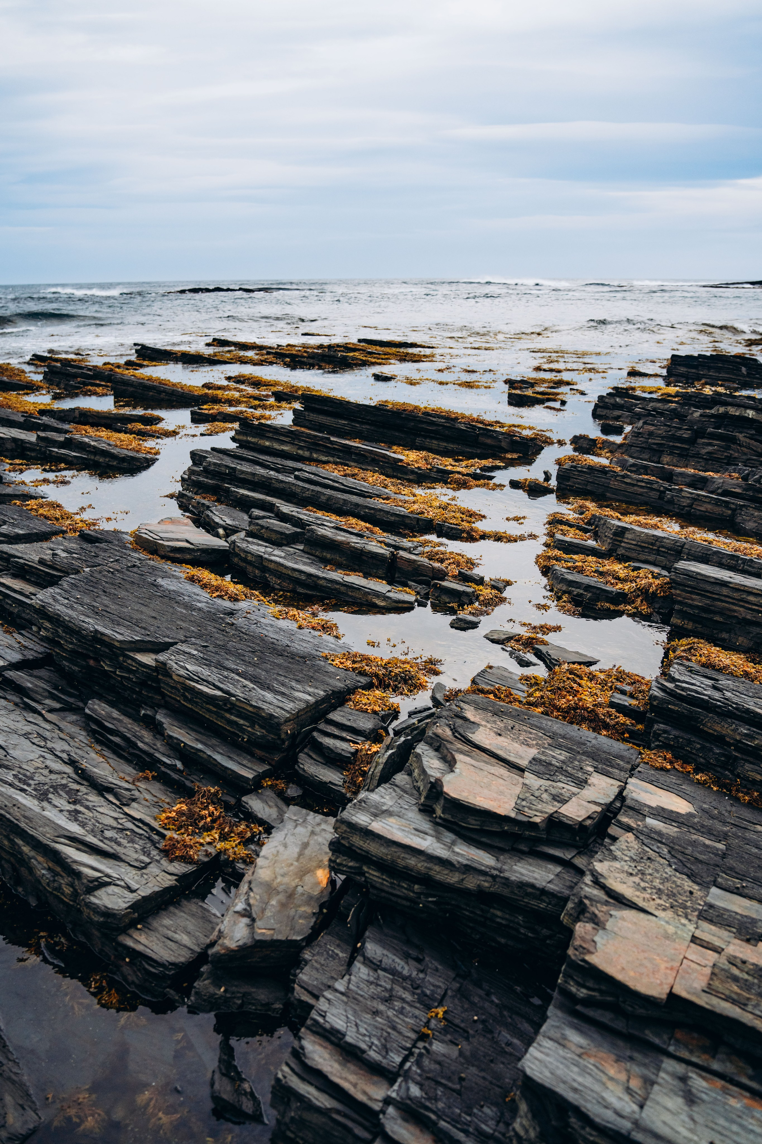 СЕВЕР. Event фотограф Степанова Александра