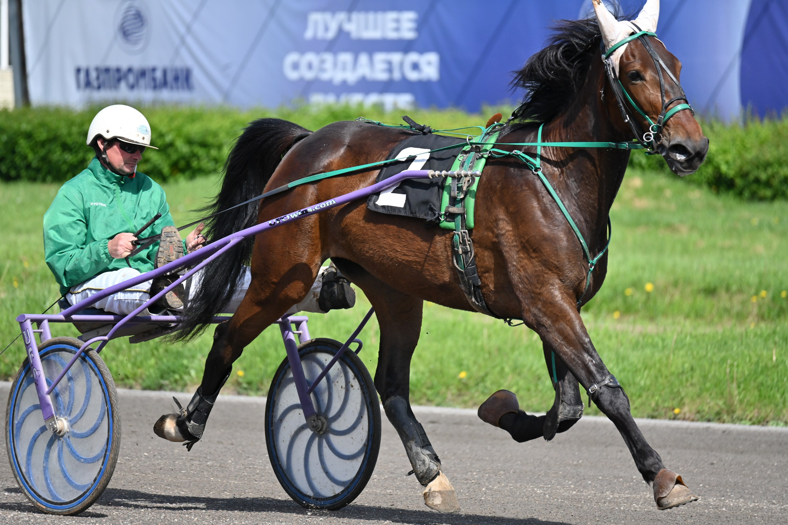 Ипподром (Москва). Fotolux