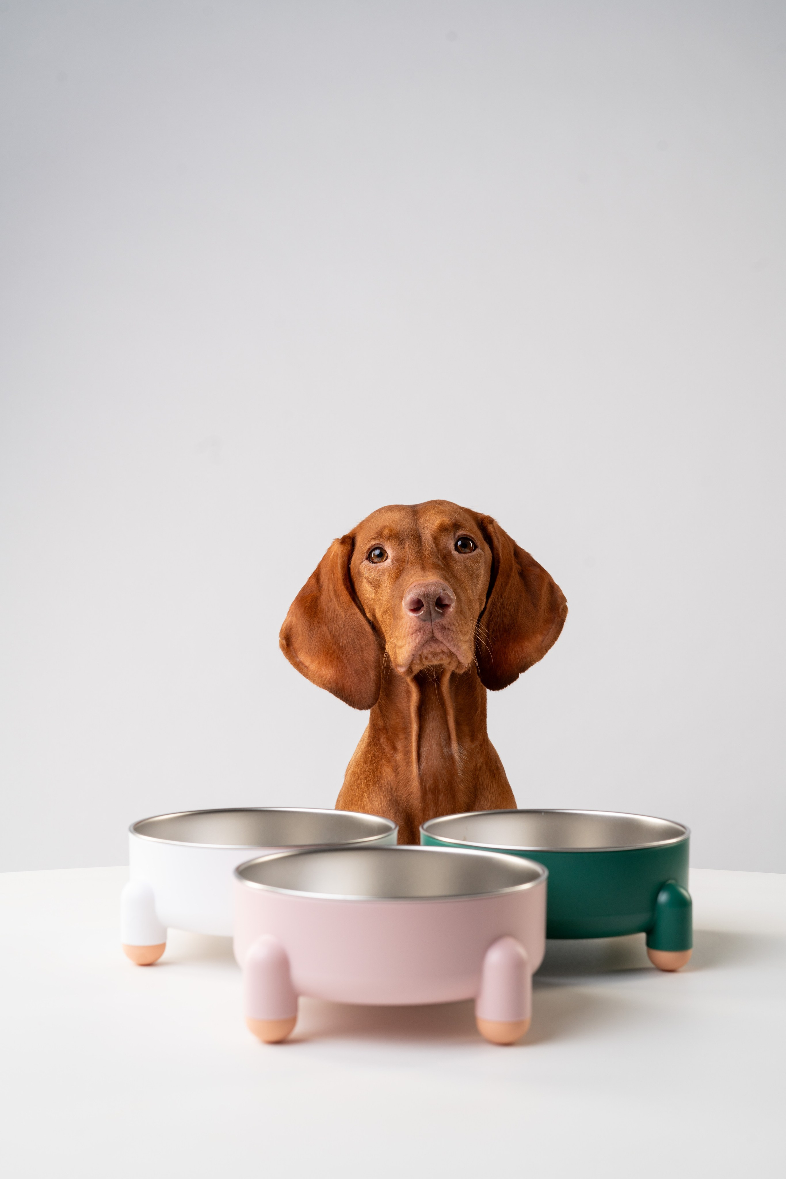 Миски. Фотограф анималист Осипчикова Мария